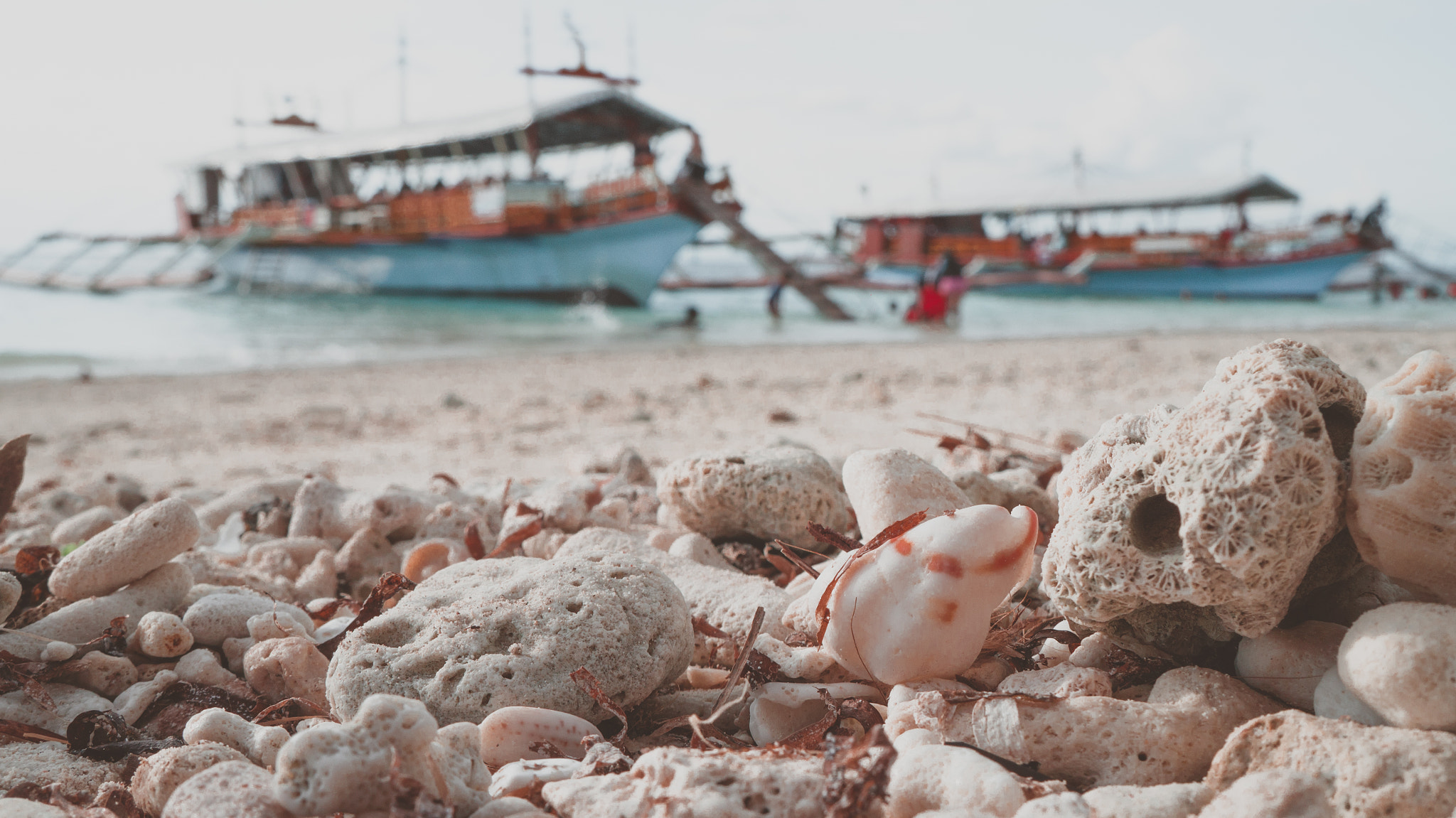 Sony Alpha NEX-F3 sample photo. Beach in talikud photography