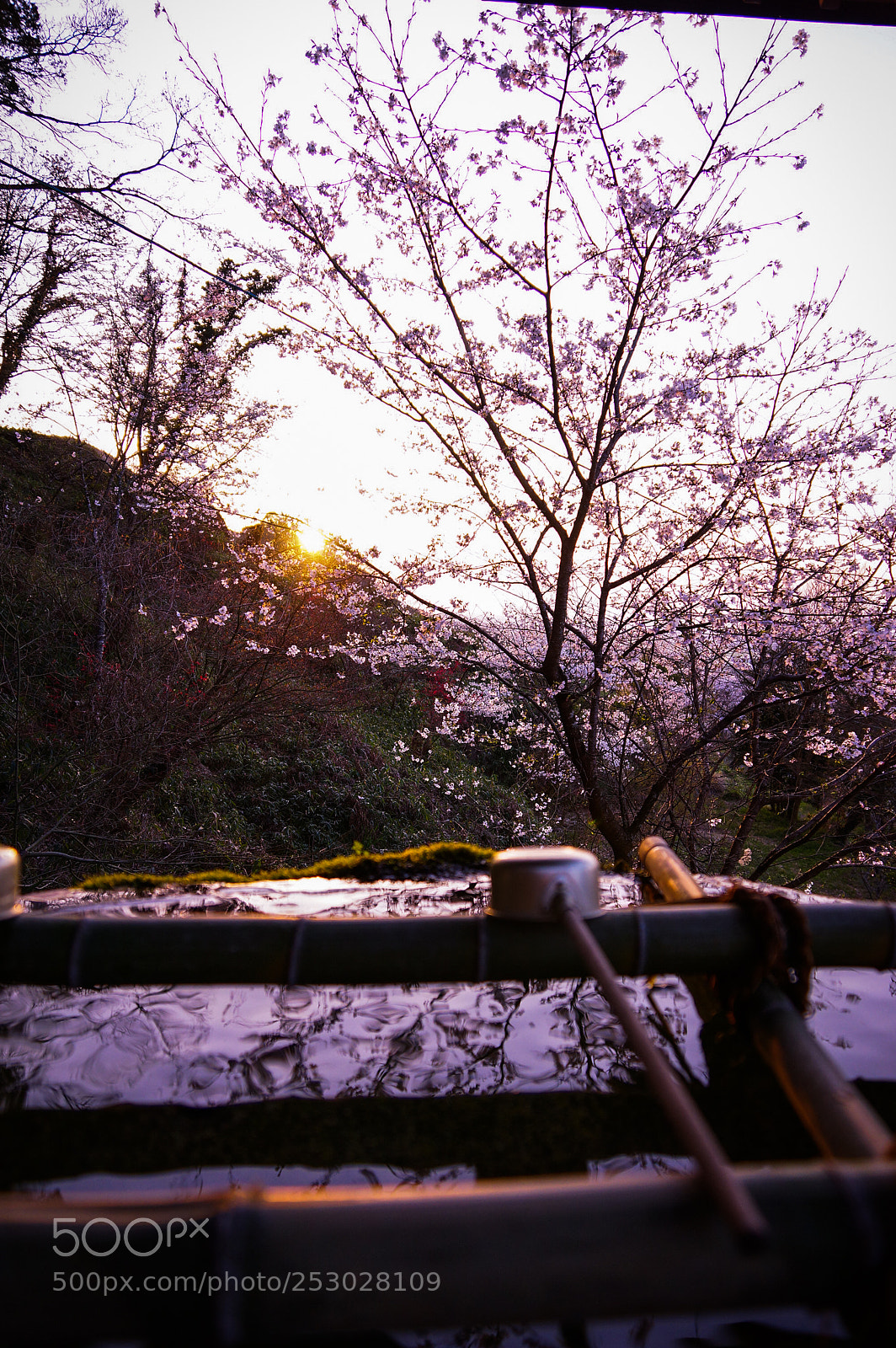 Sony SLT-A77 sample photo. Sunset photography