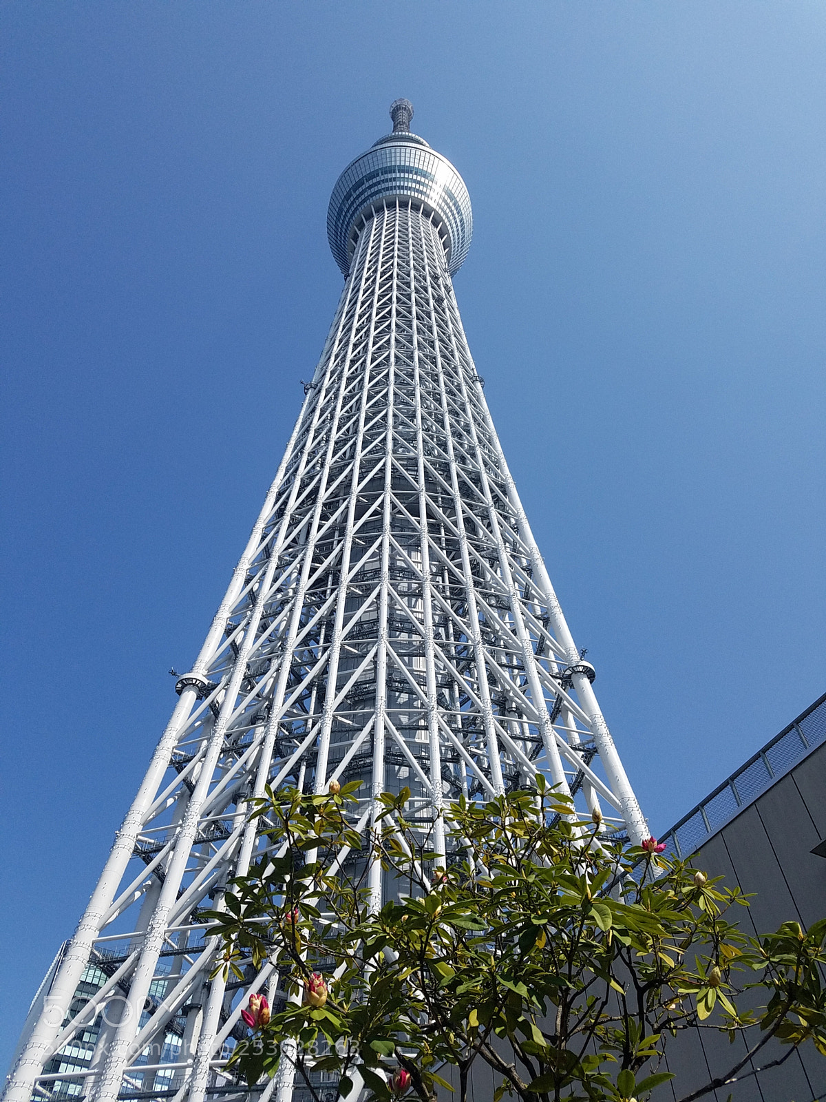 Samsung Galaxy S7 Edge sample photo. Sky tree of tokyo 2 photography