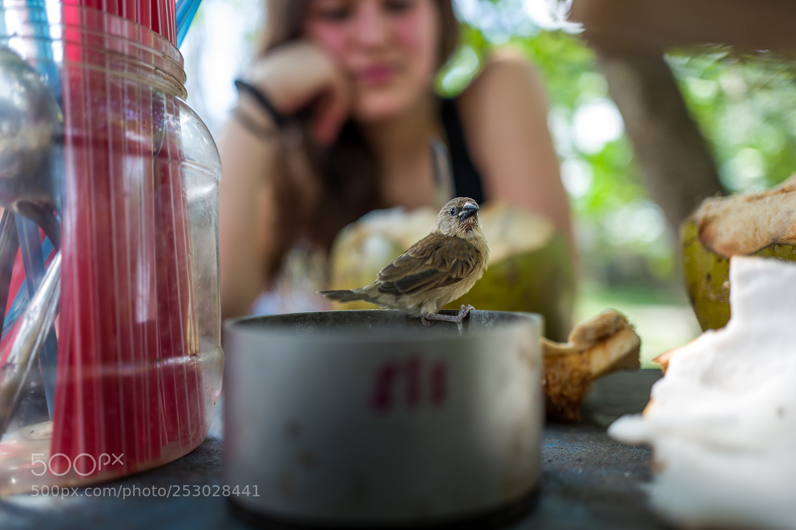 Leica Q (Typ 116) sample photo. A small bird with photography