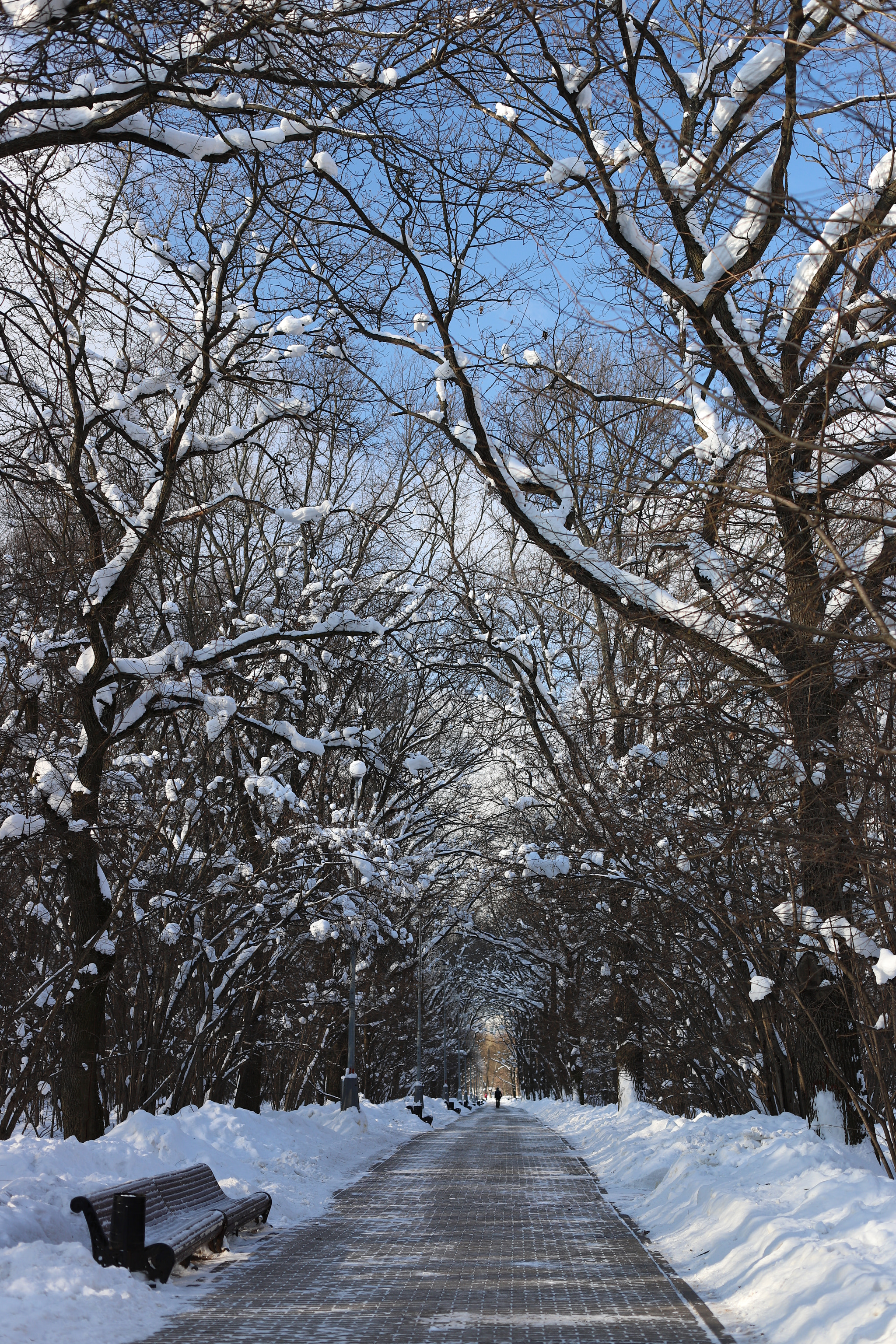 Canon EF 50mm F1.4 USM sample photo