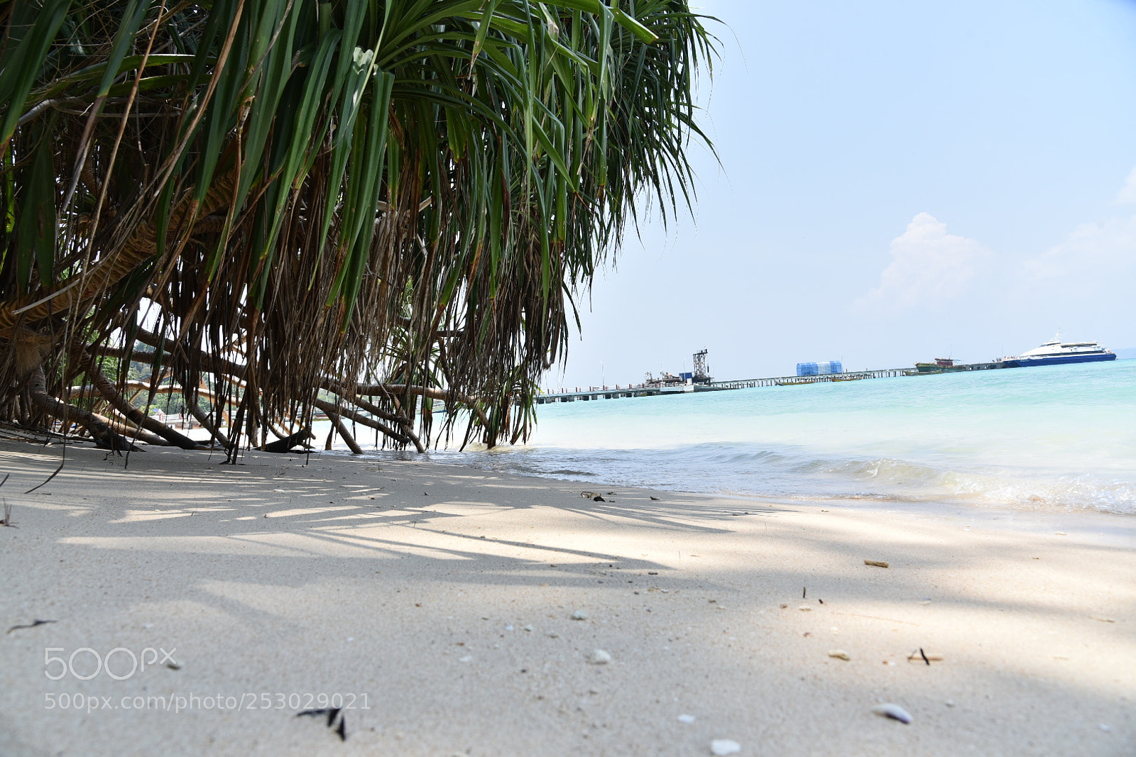 Nikon AF-S Nikkor 24-120mm F4G ED VR sample photo. Beach photography