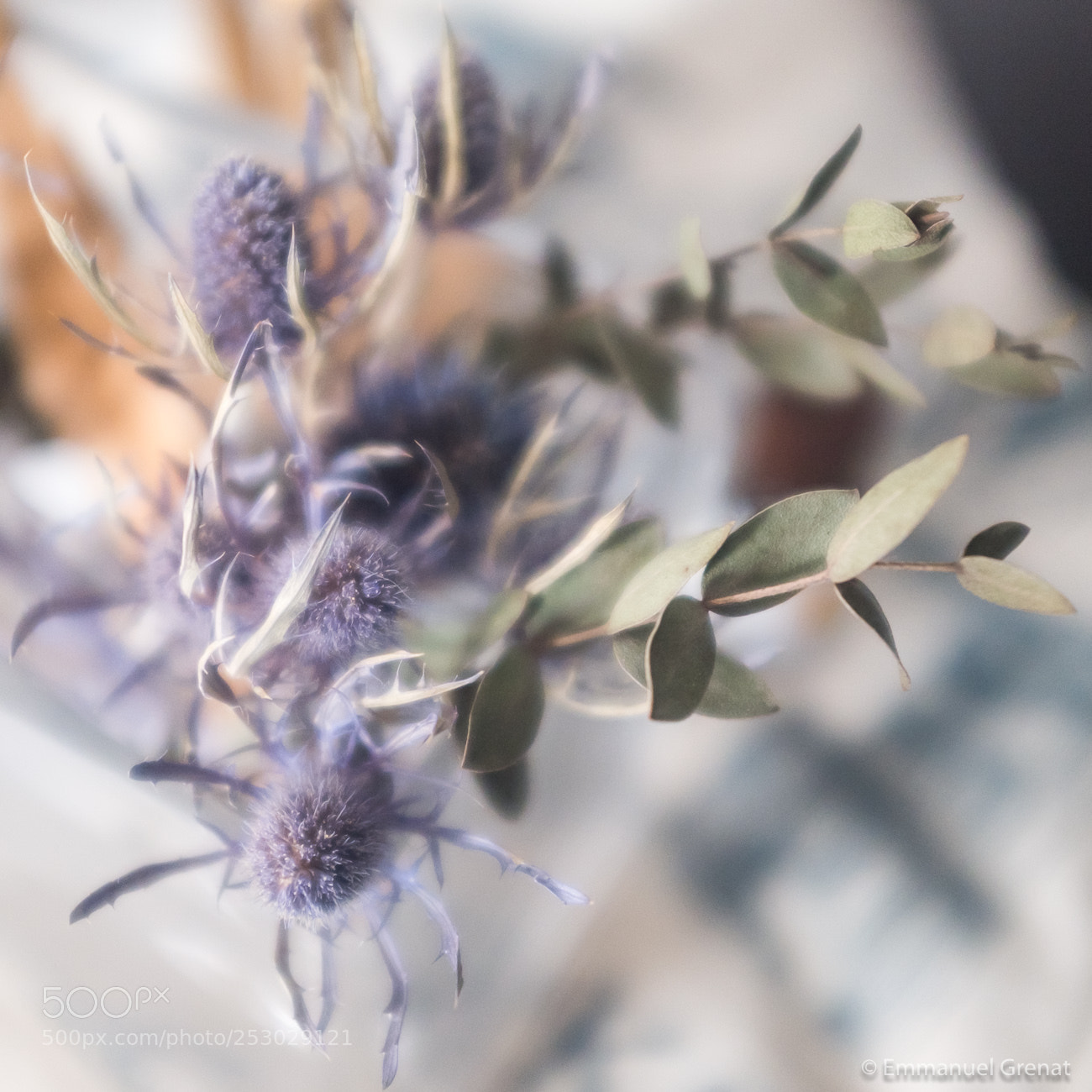 Fujifilm X100T sample photo. Thistles... photography