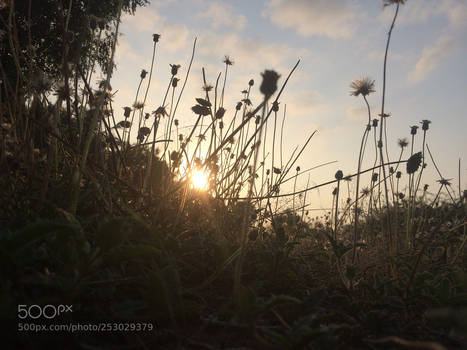 Apple iPhone 5s sample photo. Sunrise photography