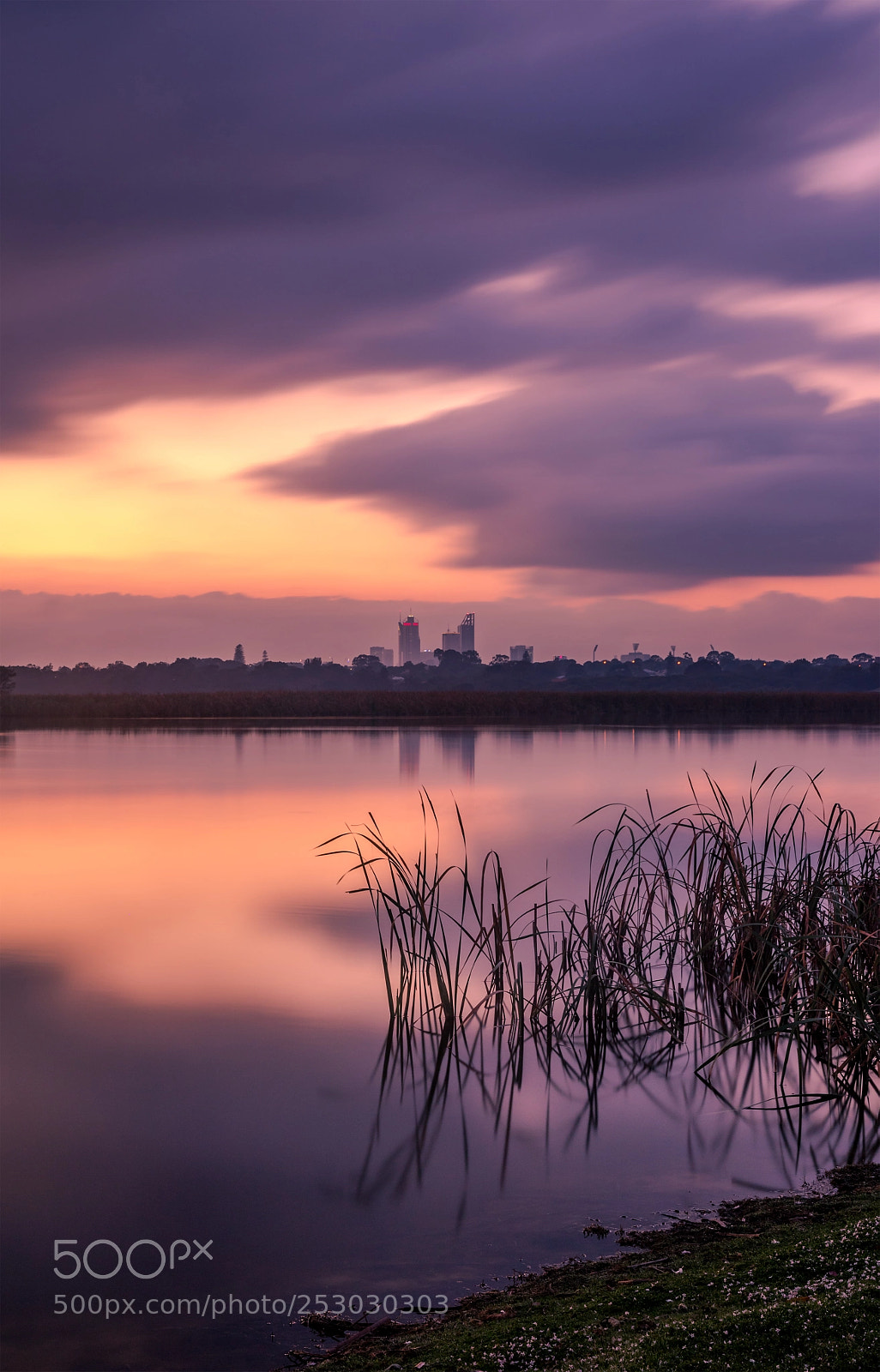 Canon EOS 750D (EOS Rebel T6i / EOS Kiss X8i) sample photo. Perth and the reeds photography