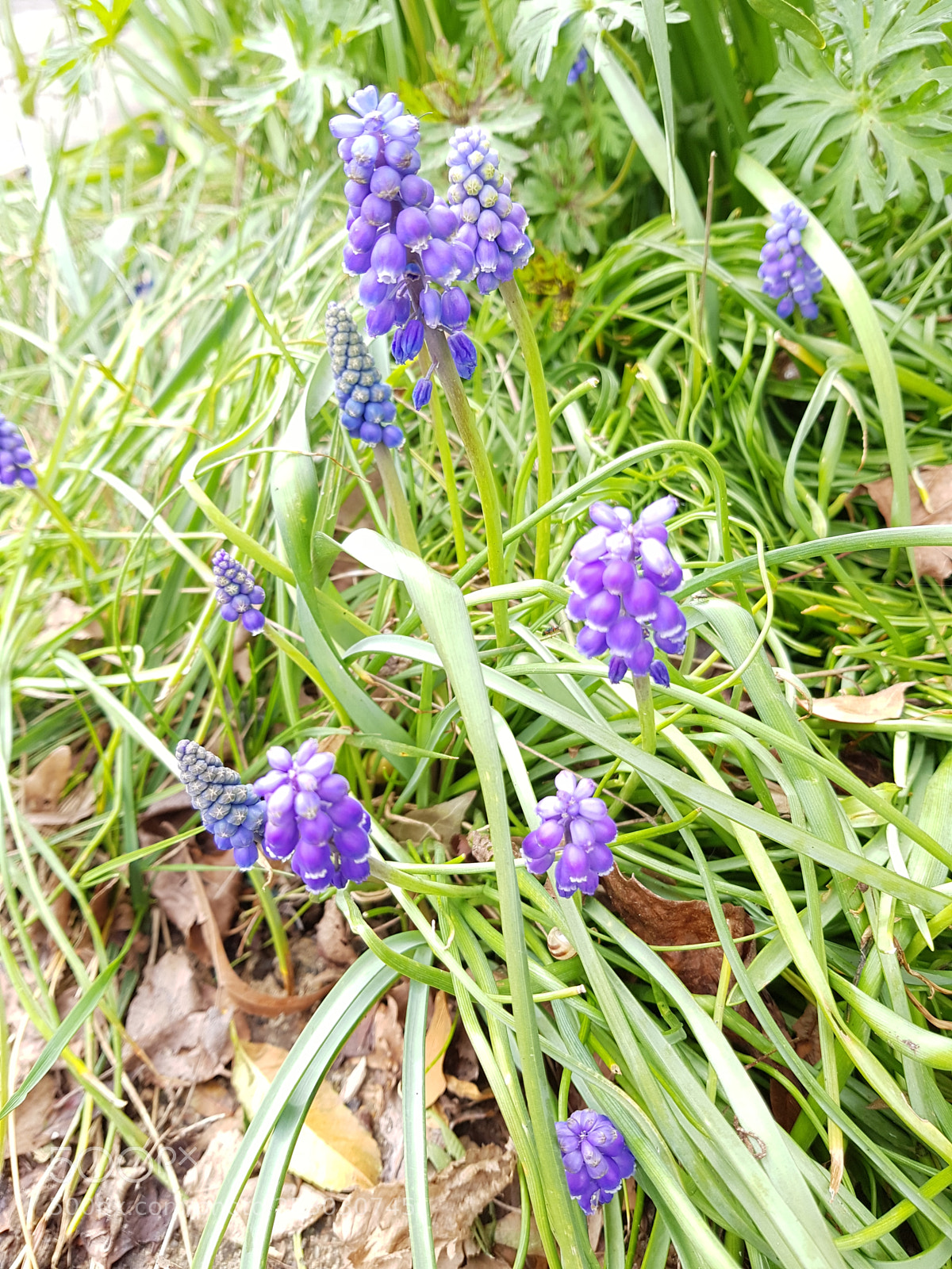 Samsung Galaxy S8 sample photo. Untitled photography