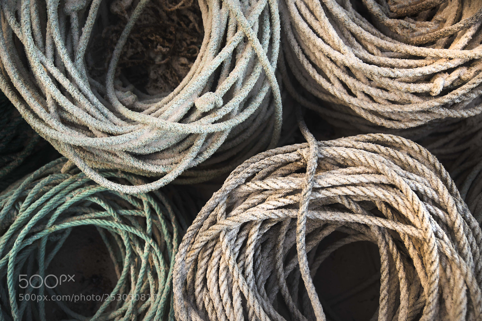 Canon EOS 5D Mark IV sample photo. Ropes photography