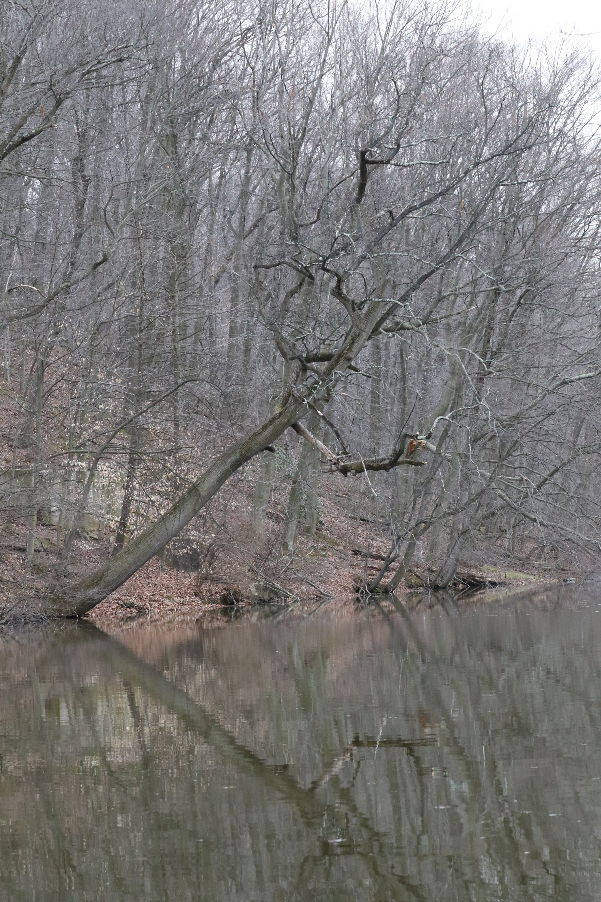 Canon EOS 7D Mark II sample photo. Reflection  no filter........ photography