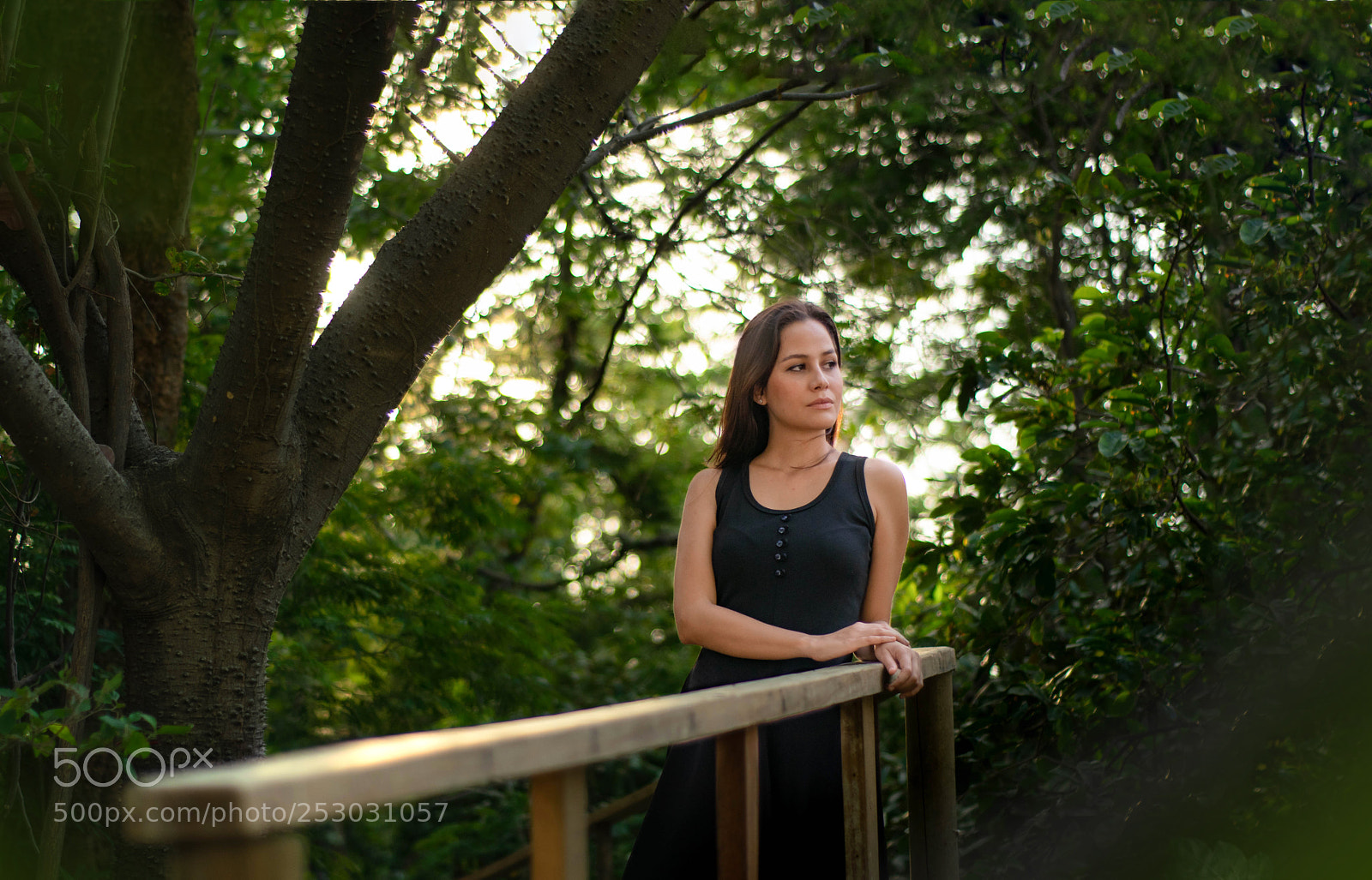 Nikon D5300 sample photo. Foto en un atardecer photography