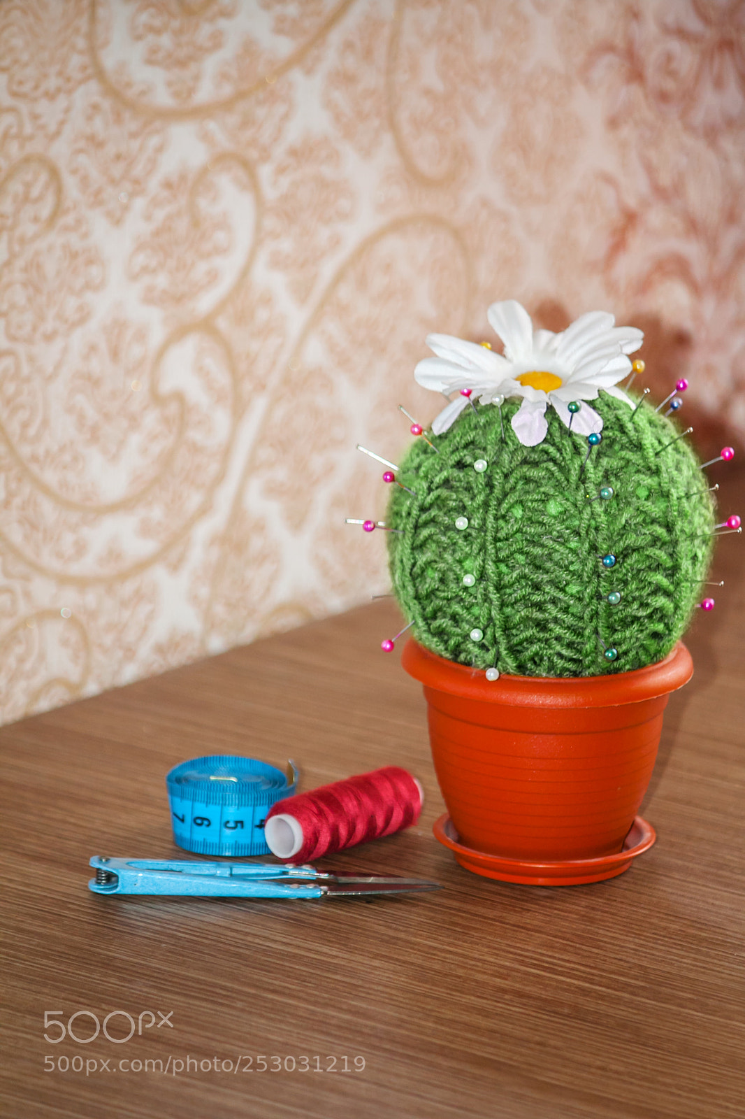 Canon EOS 50D sample photo. Cactus as a handmade photography
