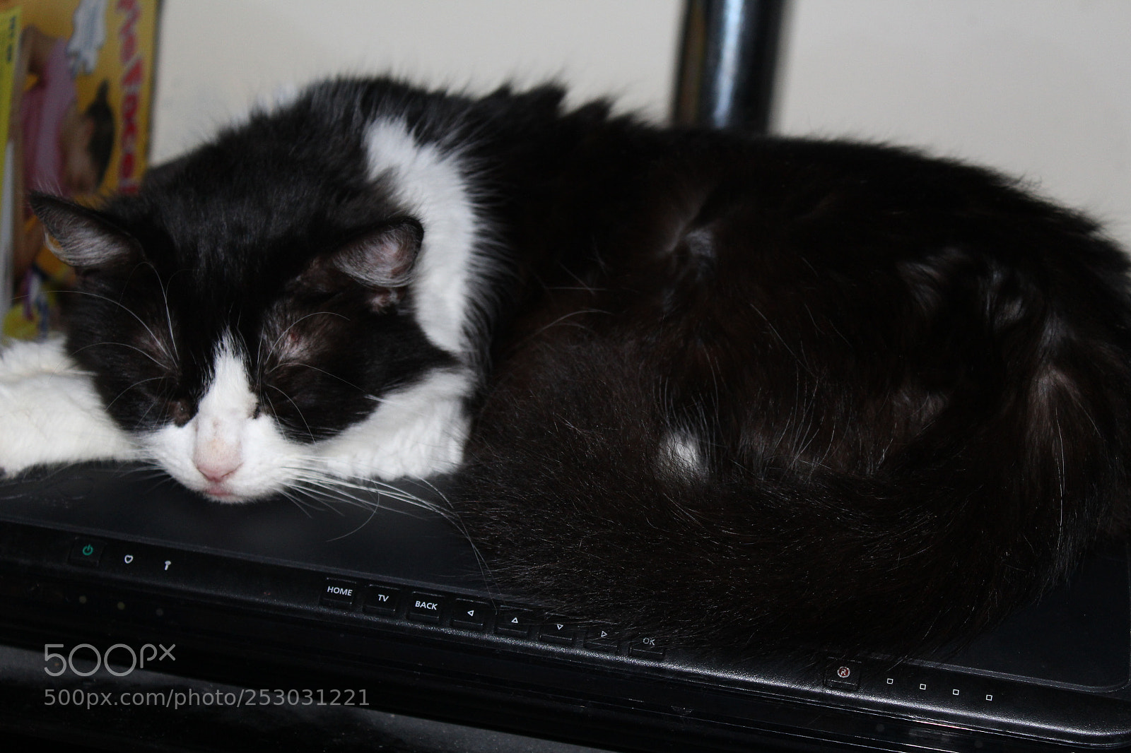 Canon EOS 1200D (EOS Rebel T5 / EOS Kiss X70 / EOS Hi) sample photo. Img photography