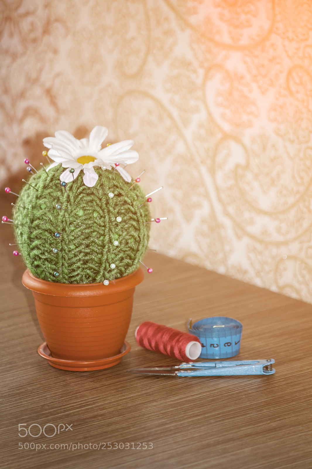 Canon EOS 50D sample photo. Cactus as a handmade photography