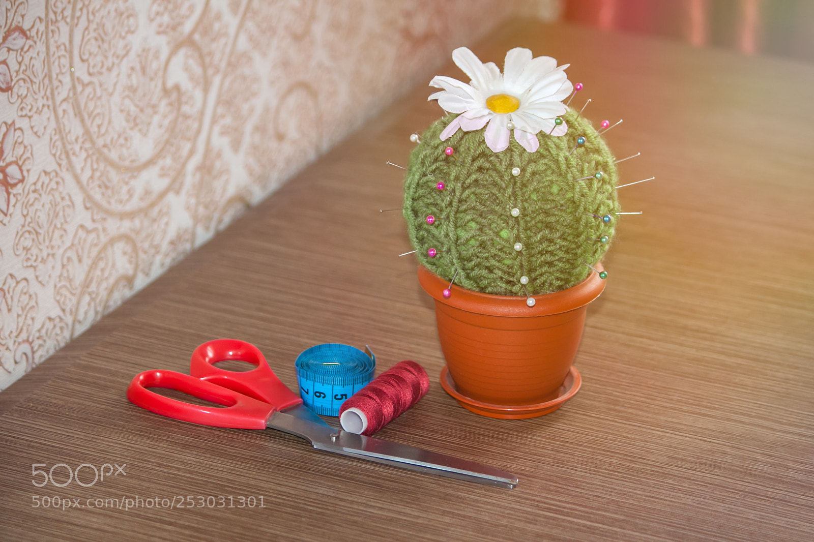 Canon EOS 50D sample photo. Cactus as a handmade photography