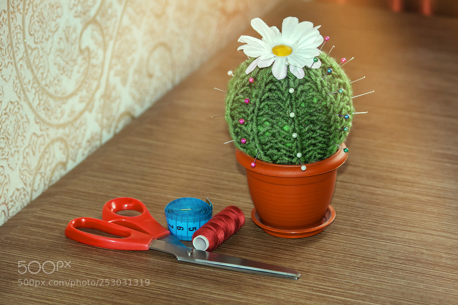 Canon EOS 50D sample photo. Cactus as a handmade photography