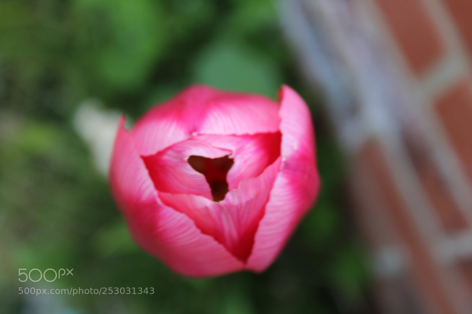 Canon EOS 1200D (EOS Rebel T5 / EOS Kiss X70 / EOS Hi) sample photo. Img photography
