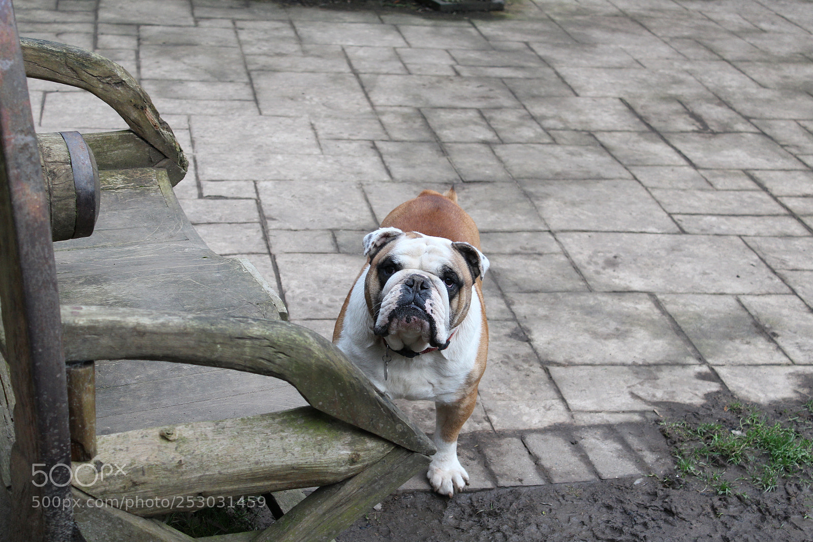Canon EOS 1200D (EOS Rebel T5 / EOS Kiss X70 / EOS Hi) sample photo. Untitled photography