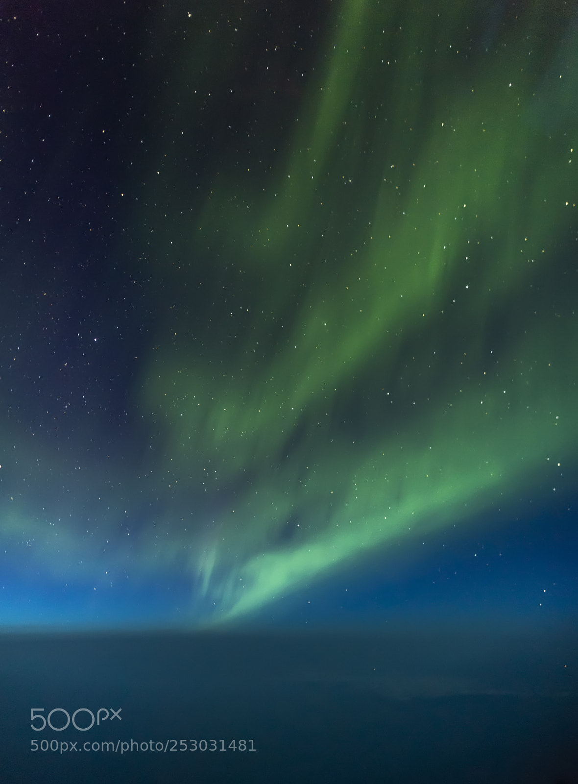 Nikon D5 sample photo. Northern lights photography