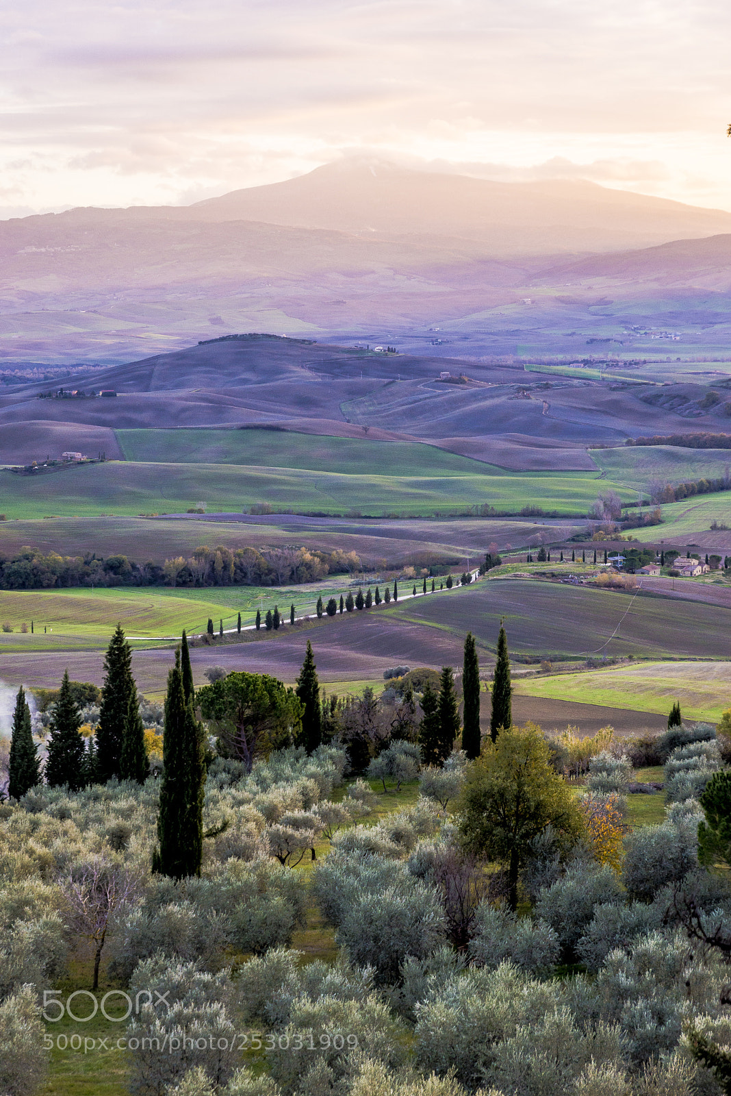 Nikon D610 sample photo. Toscana photography