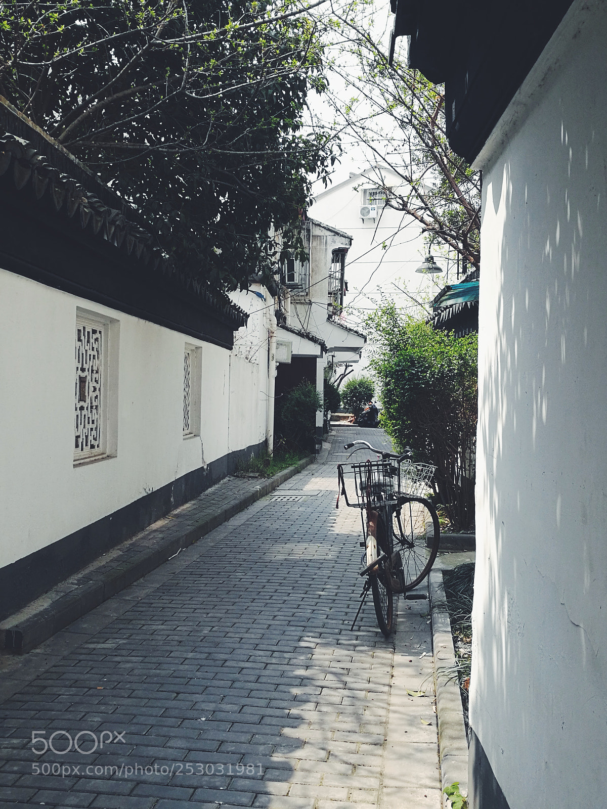 HUAWEI Honor 8 sample photo. Lane photography