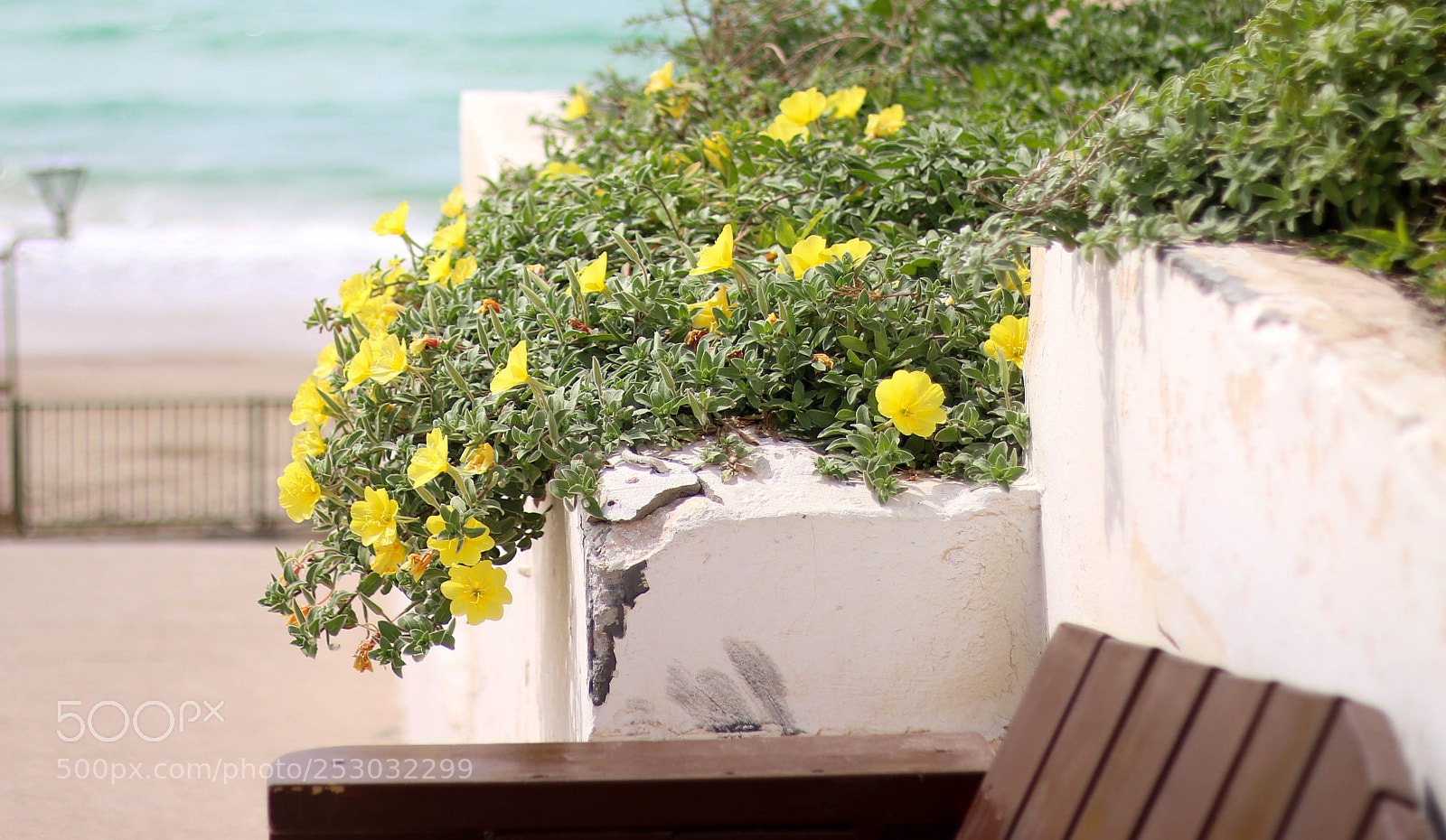Canon EOS 70D sample photo. Untitled photography