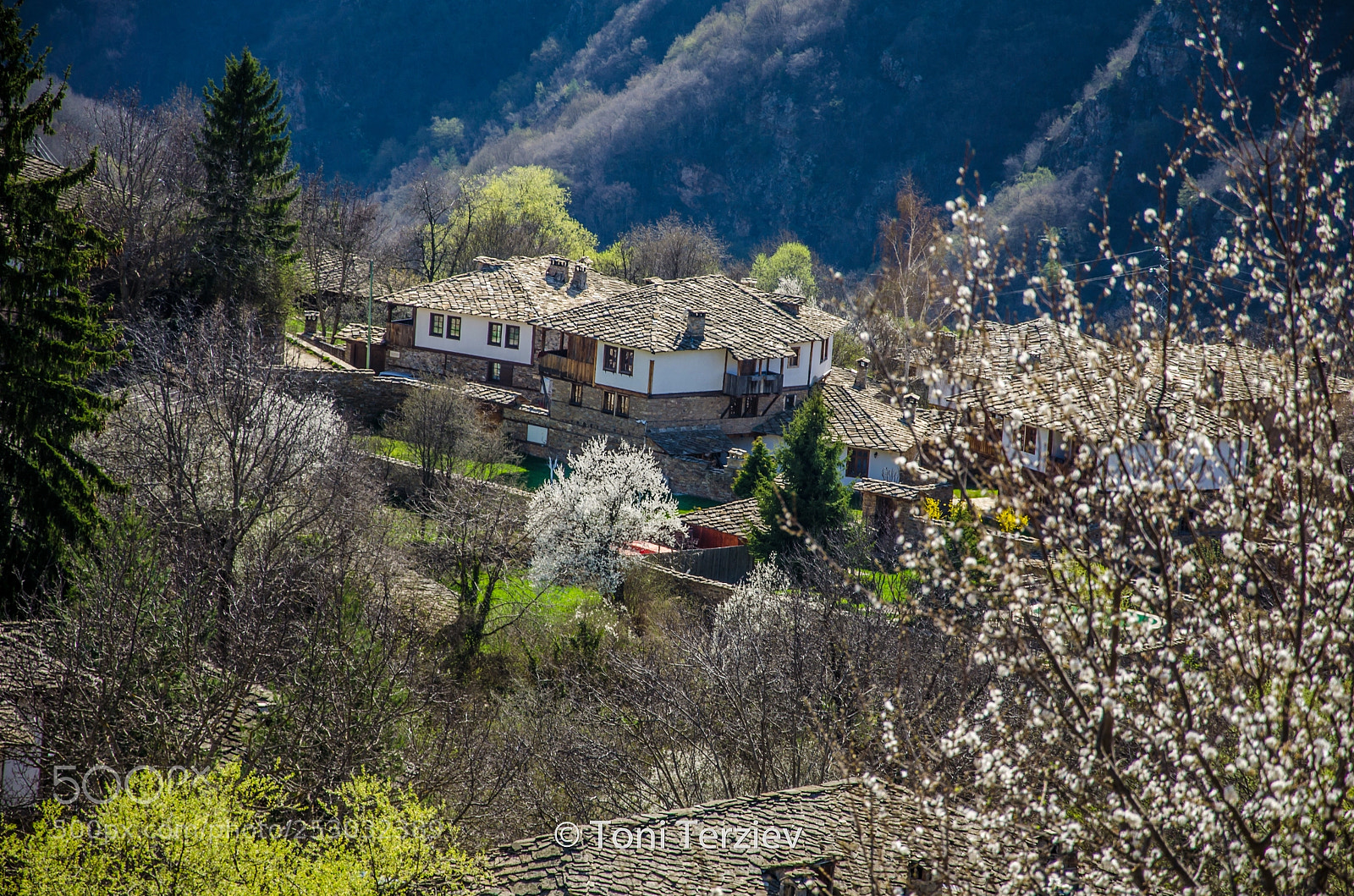 Nikon D5100 sample photo. Spring in the rhodopes photography