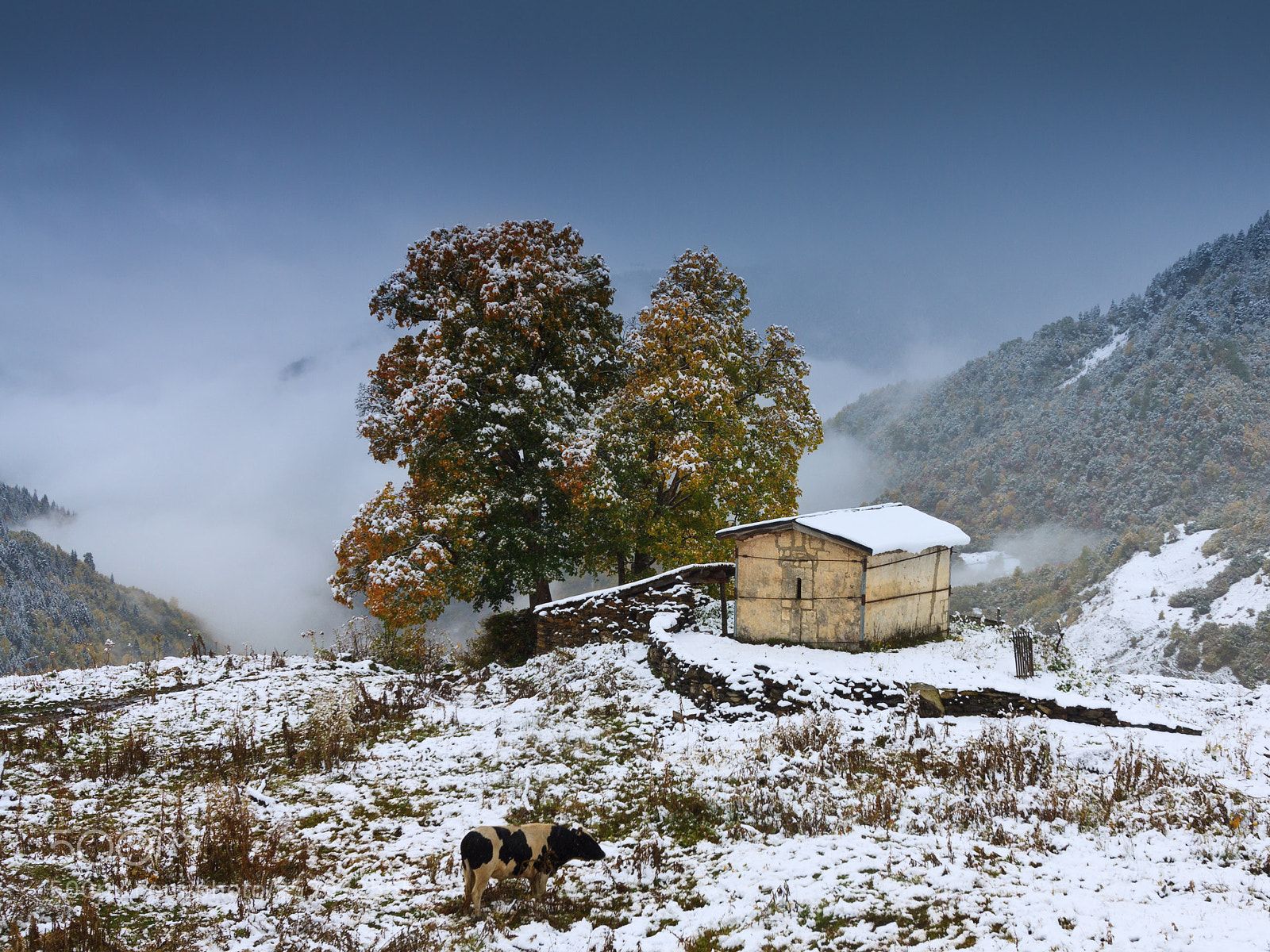 Canon EOS 50D sample photo. Early winter on the photography