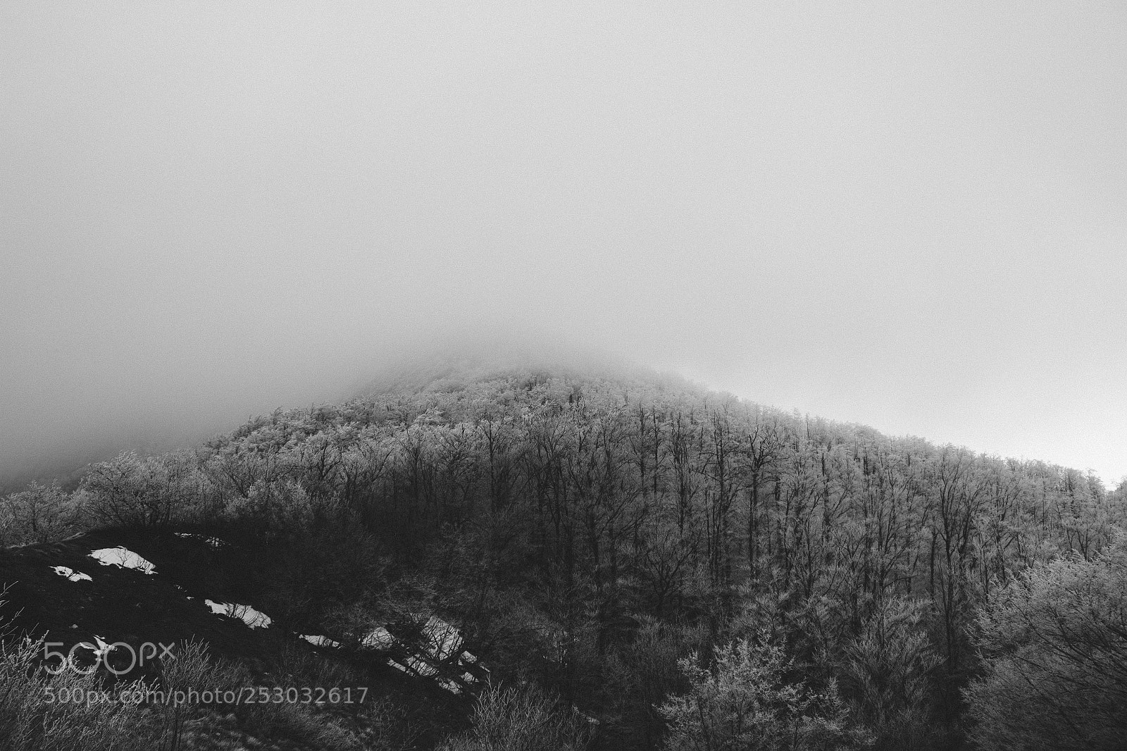 Canon EOS 600D (Rebel EOS T3i / EOS Kiss X5) sample photo. Misty mountain photography
