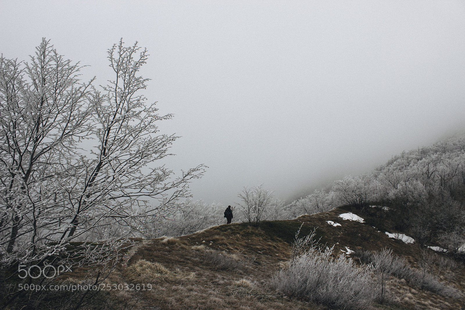 Canon EOS 600D (Rebel EOS T3i / EOS Kiss X5) sample photo. Misty mountain photography