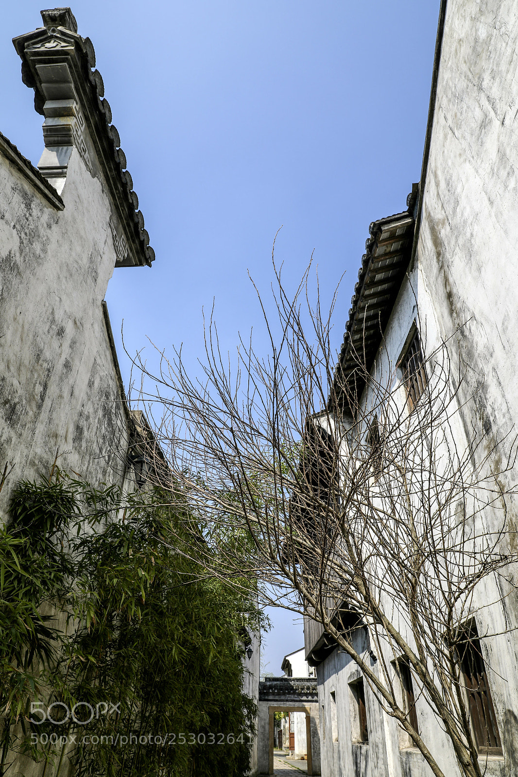 Canon EOS 5D Mark IV sample photo. Dangkou town 17 photography