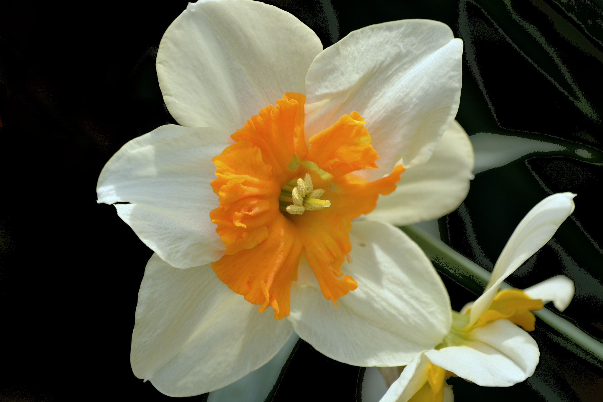 Nikon D5200 sample photo