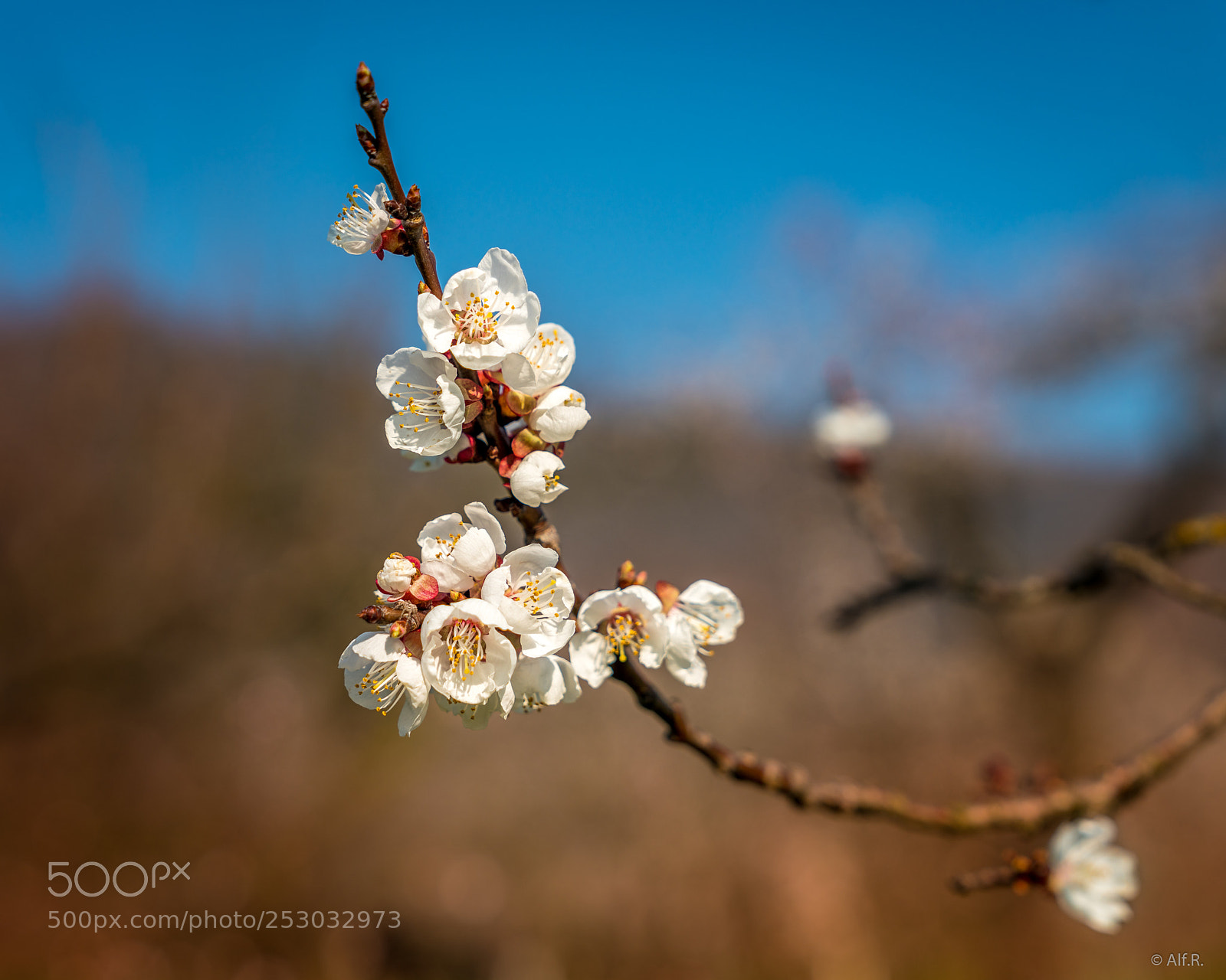 Sony a7R II sample photo. This is the wachau photography