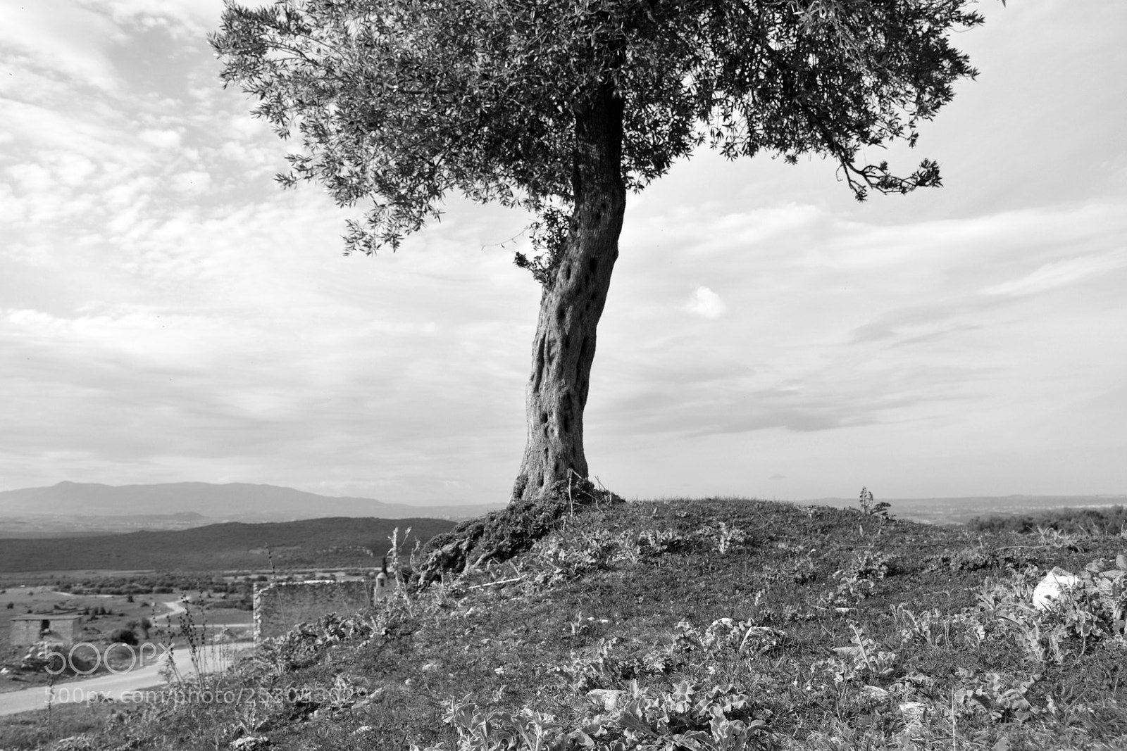Nikon D7100 sample photo. #131 photography