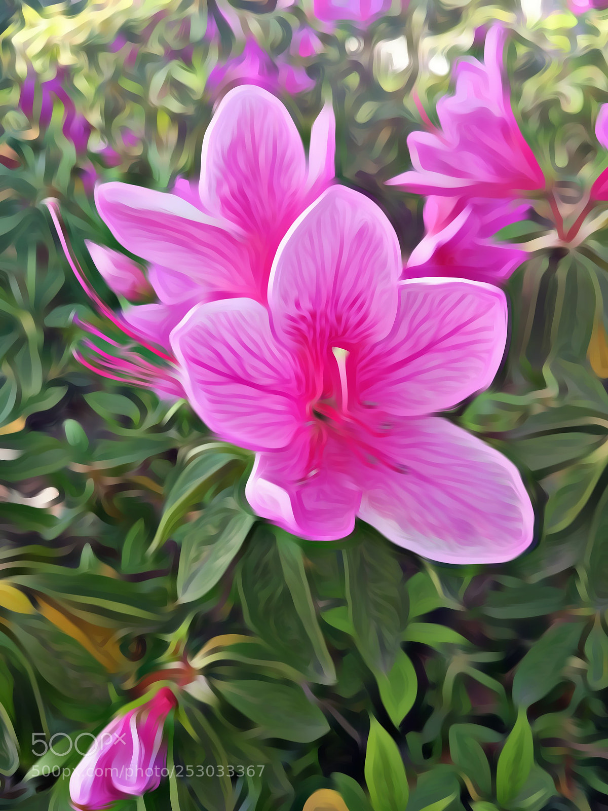 Xiaomi MI 5 sample photo. Untitled photography