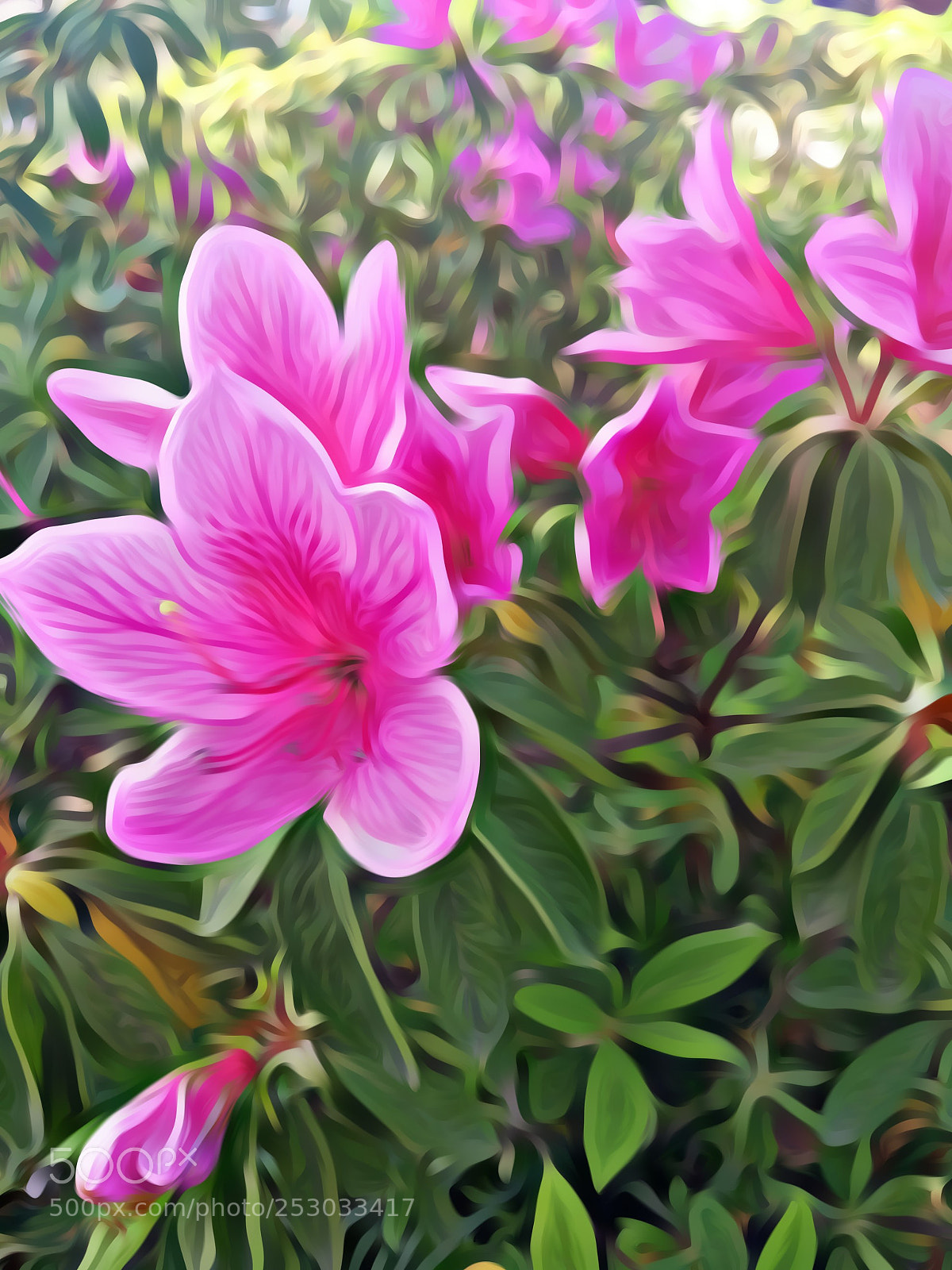 Xiaomi MI 5 sample photo. Untitled photography