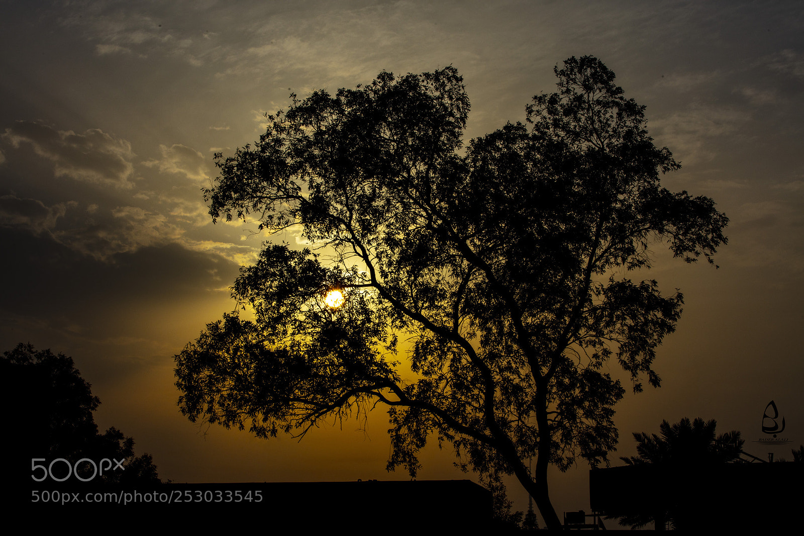 Canon EOS 5DS R sample photo. Untitled photography