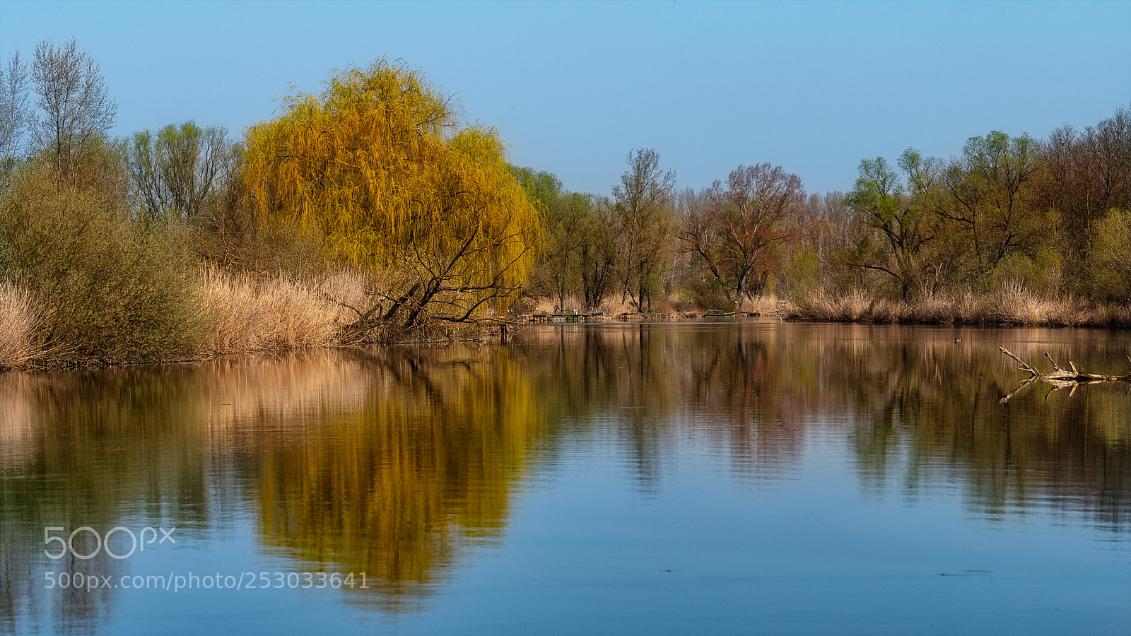 Canon EOS 70D sample photo. Spring reflection photography