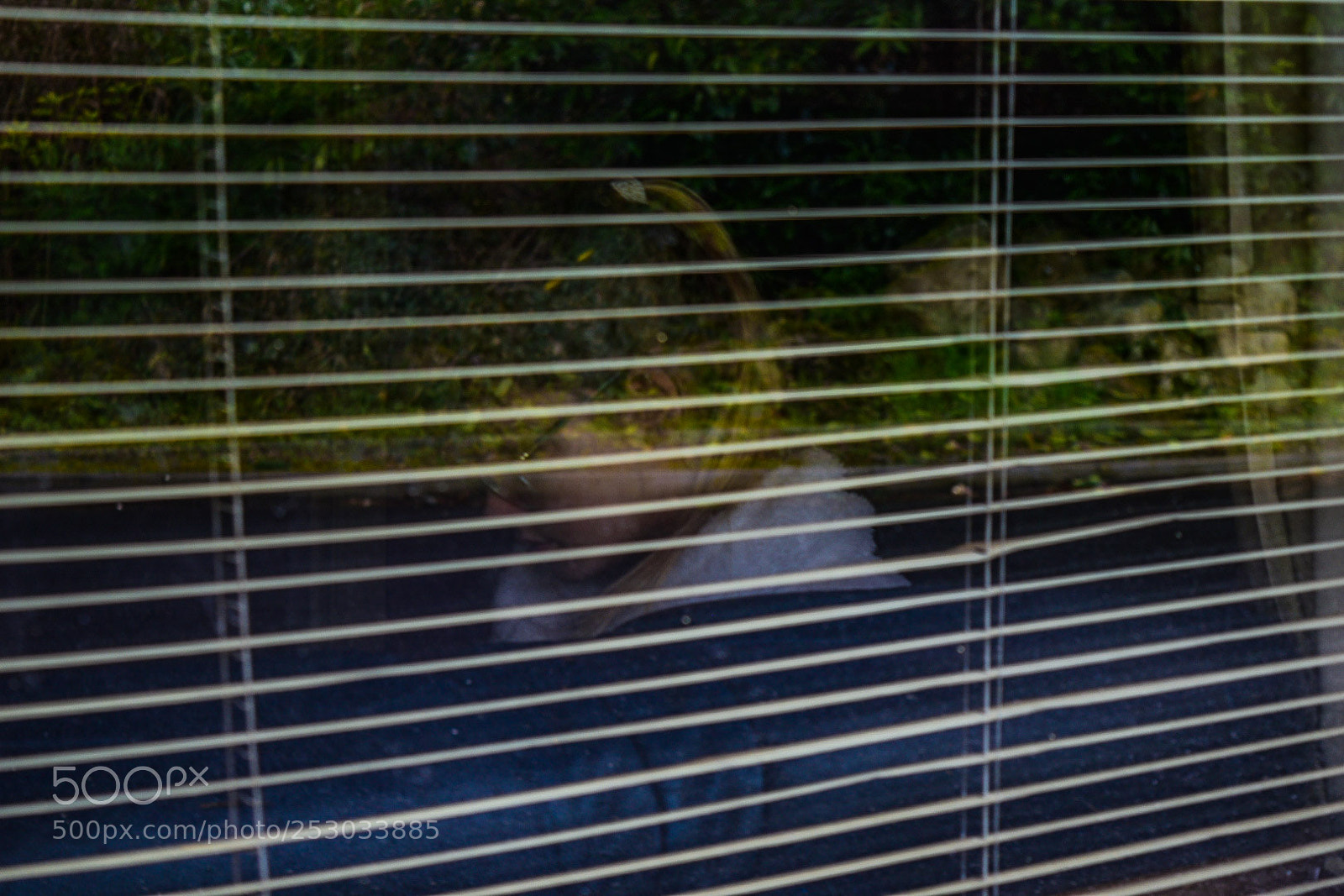 Nikon D5300 sample photo. Girl behind window photography