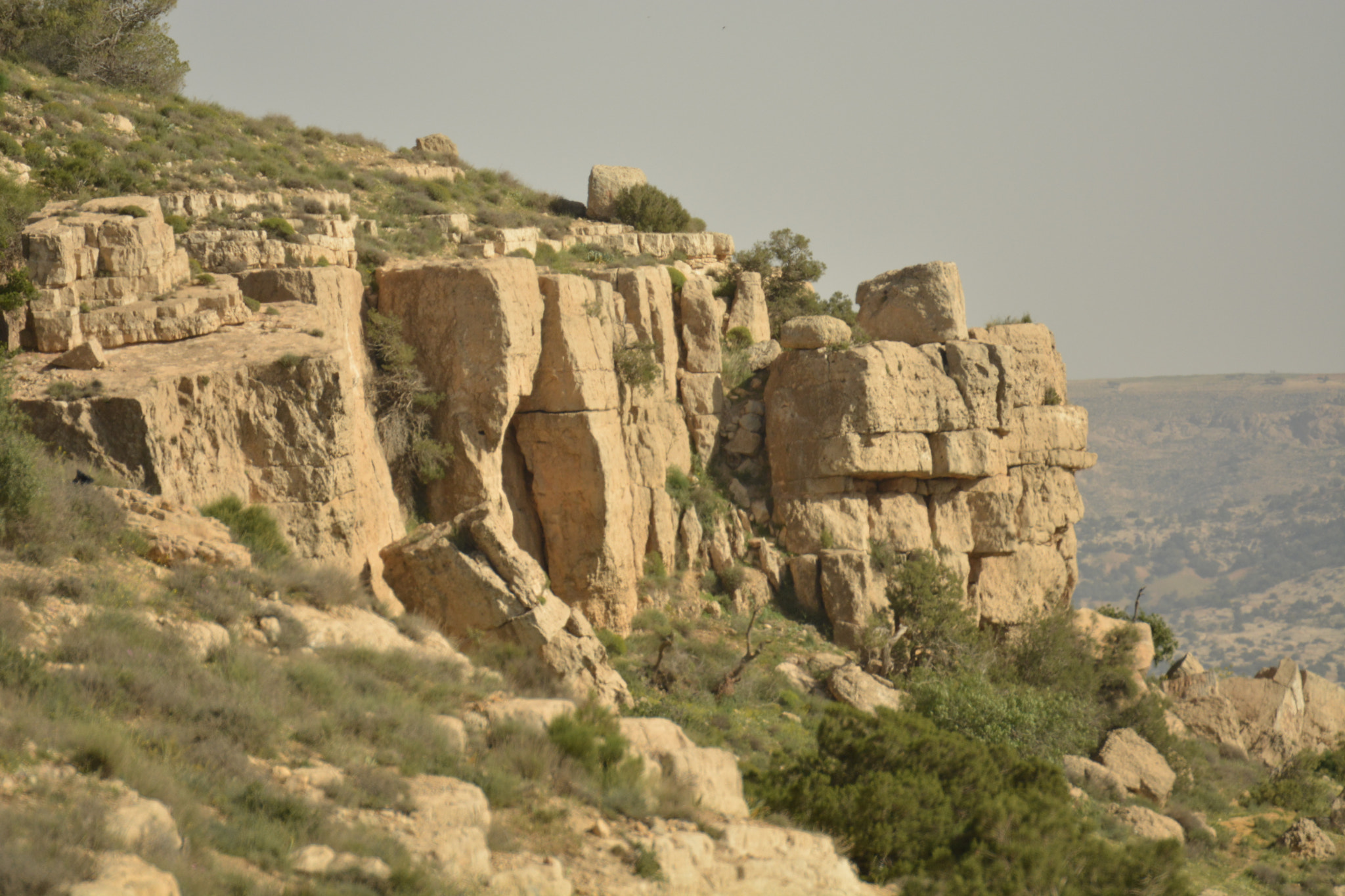Nikon D5200 sample photo. Dana reserves photography