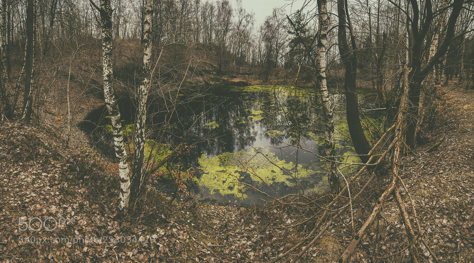 Nikon D5500 sample photo. Puddle photography