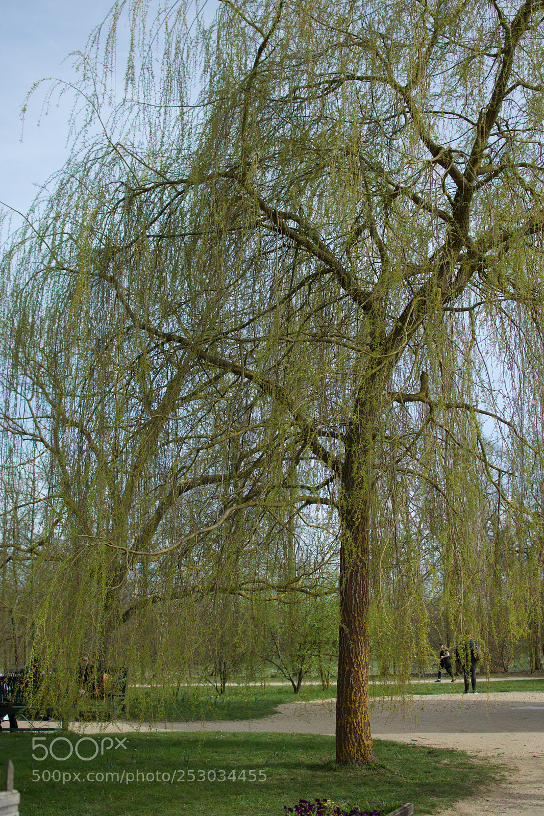 Nikon D3300 sample photo. Dsc photography