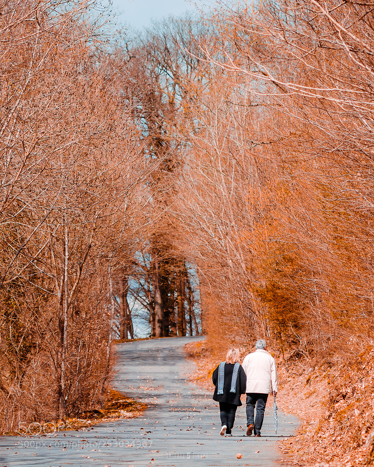 Sony a6500 sample photo. Zibart.photo photography