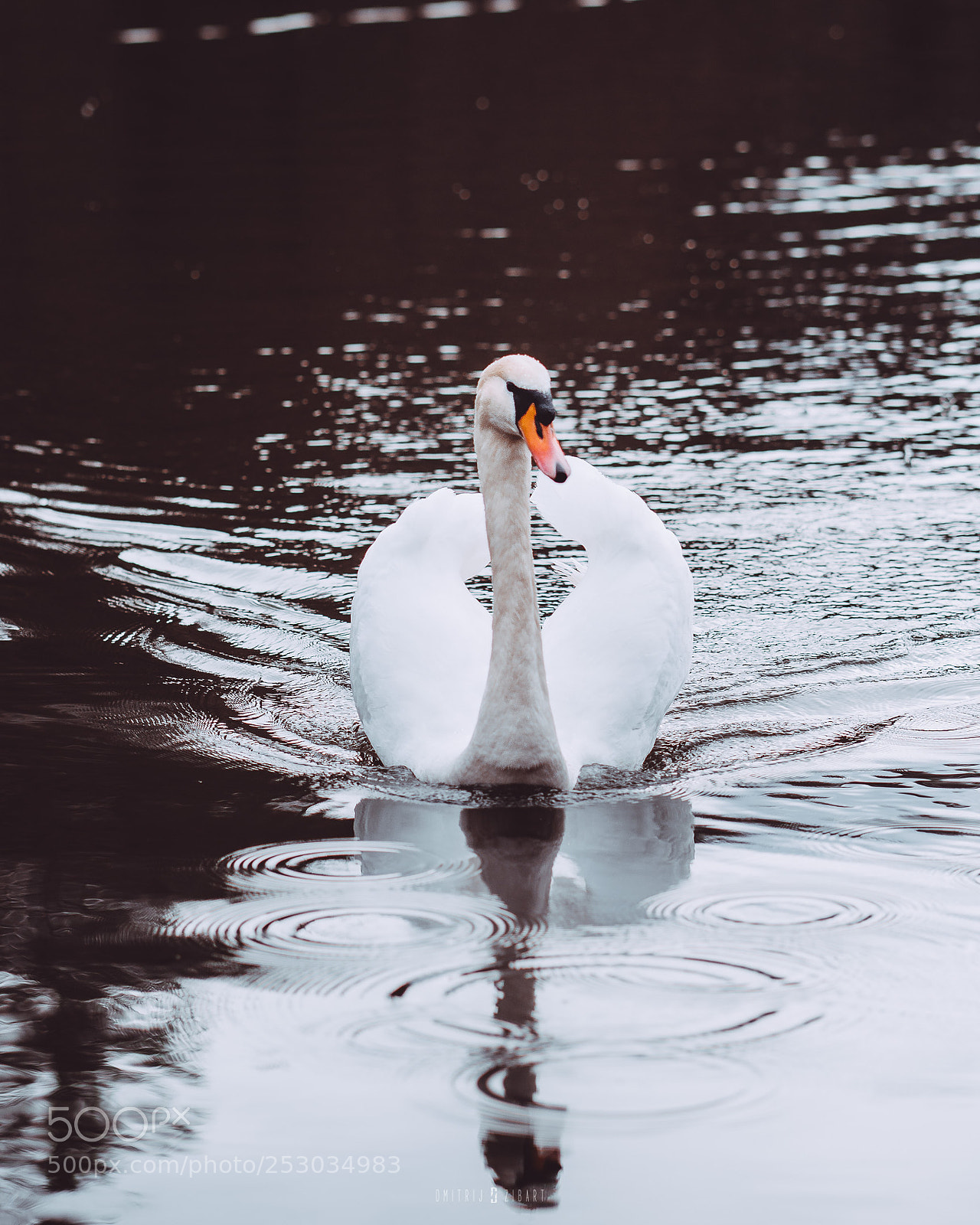 Sony a6500 sample photo. Zibart.photo photography