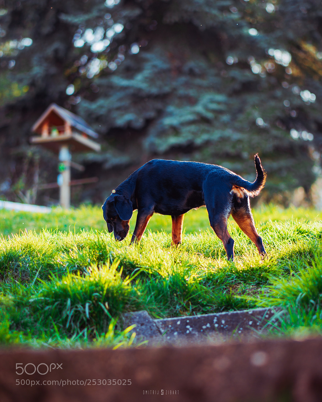 Sony a6500 sample photo. Zibart.photo photography