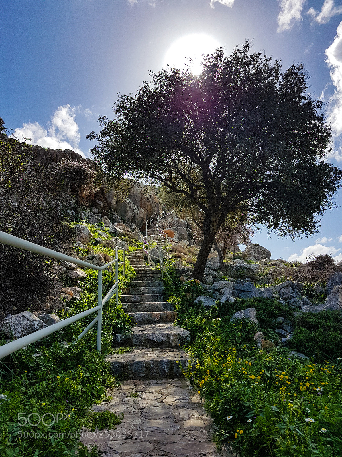 Samsung Galaxy S7 Edge sample photo. Stairway to heaven! photography