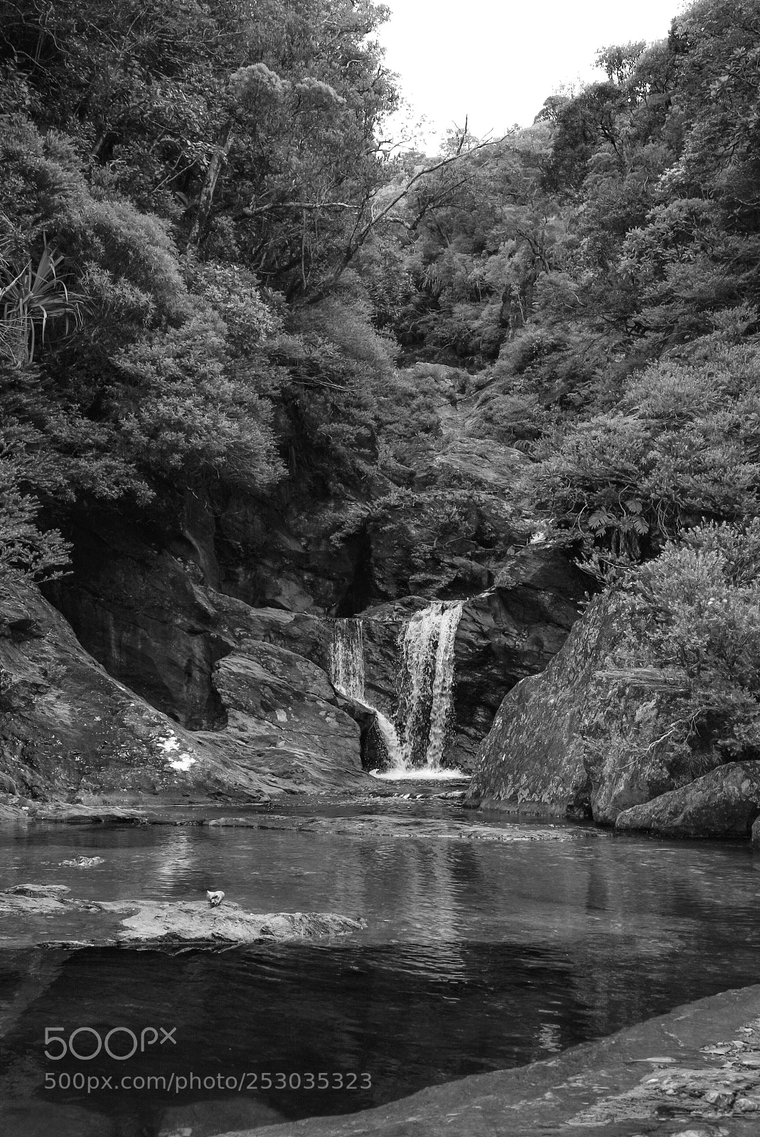 Sony a7S sample photo. Water fall, touho. photography
