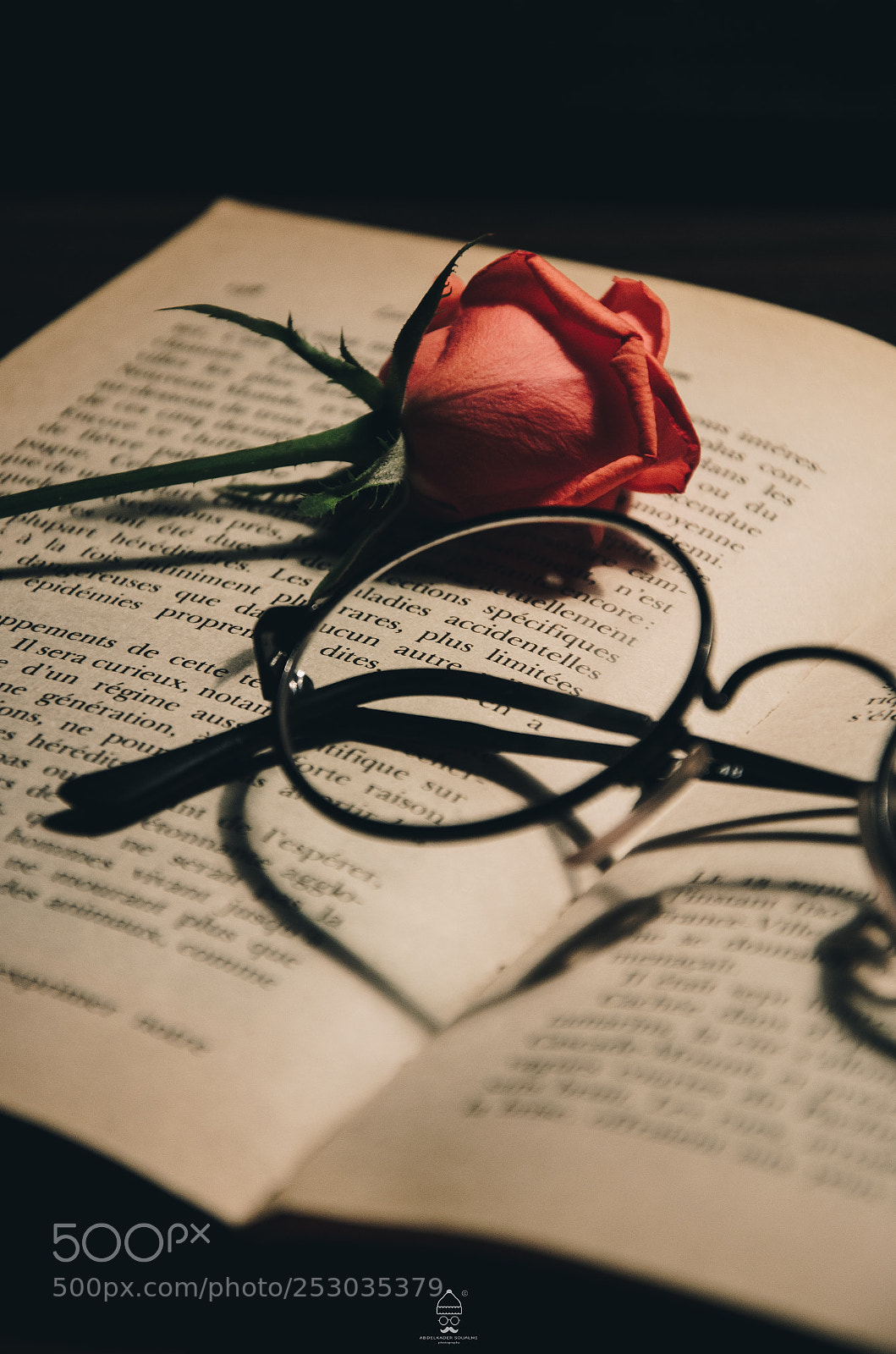 Nikon D5100 sample photo. Nice book photography