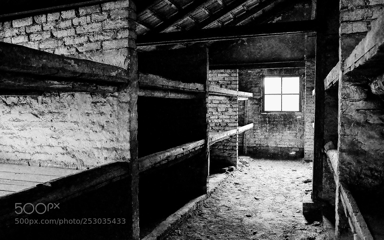Nikon D7000 sample photo. Auschwitz photography