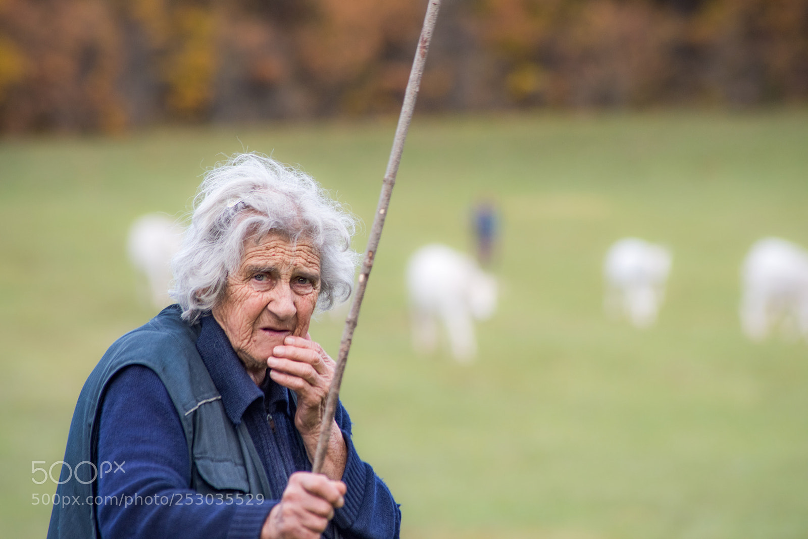 Nikon D810 sample photo. Warden, working a whole photography