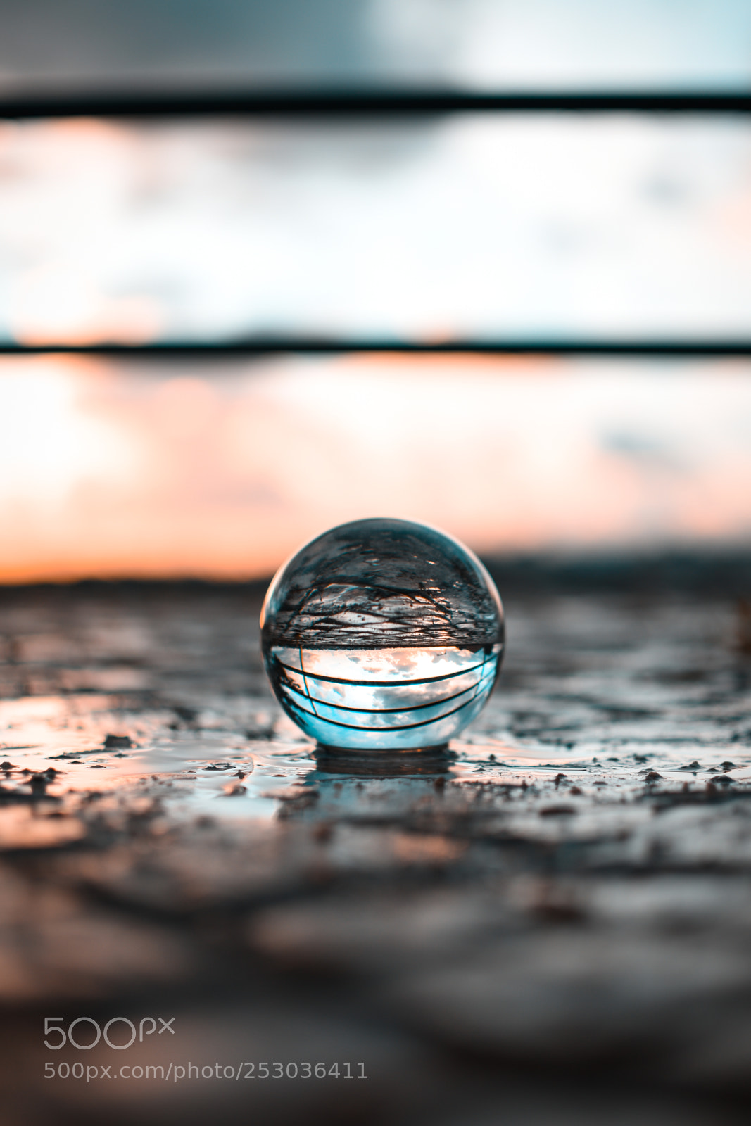 Nikon D5500 sample photo. Reflections photography