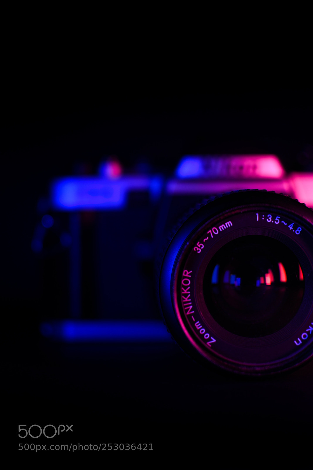 Nikon D5500 sample photo. Being a star photography